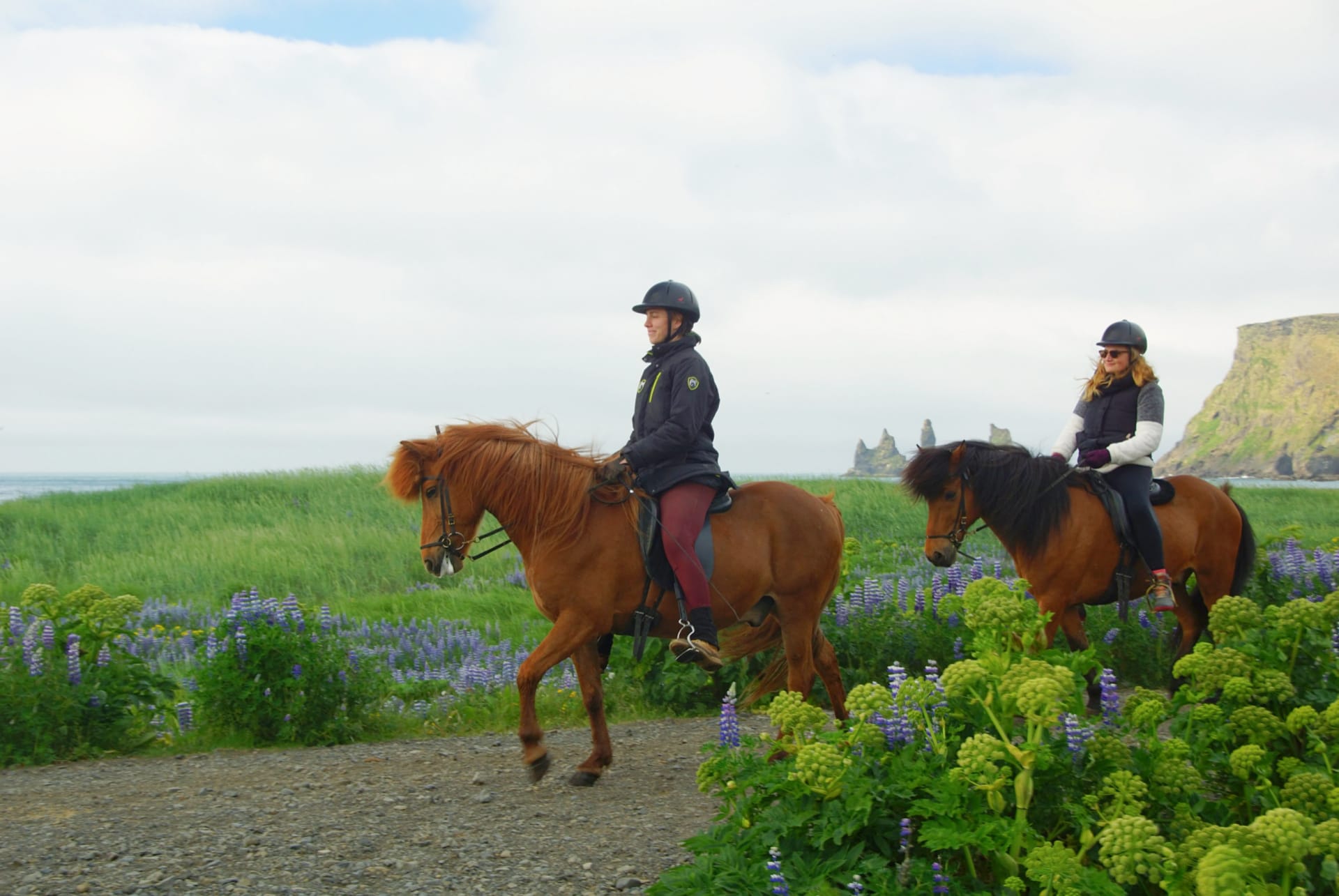 balade a cheval islande