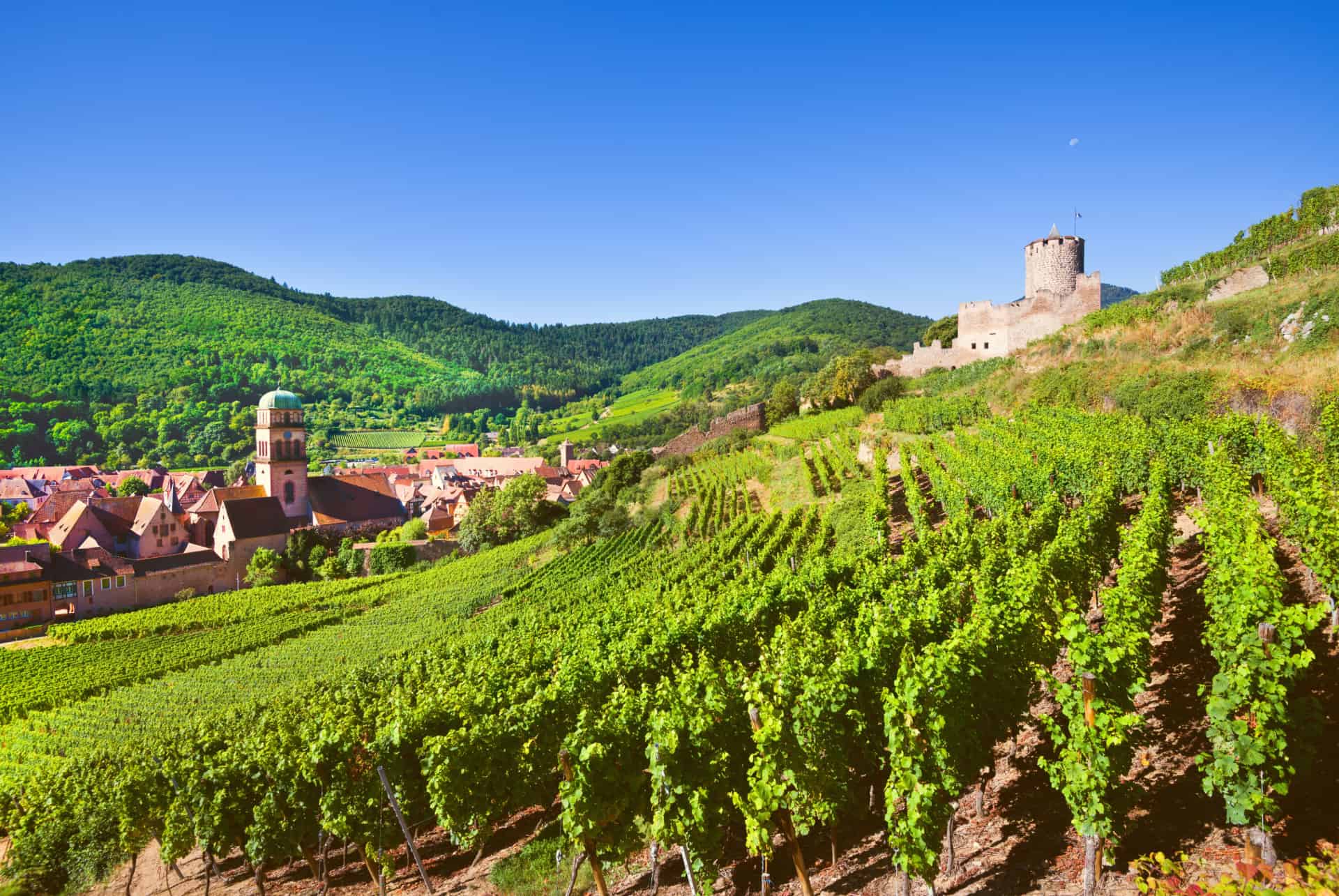 vignoble kaysersberg