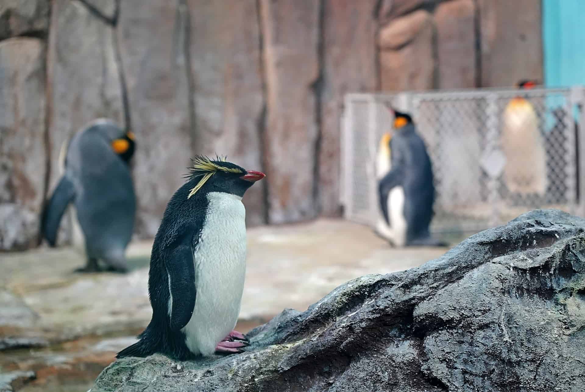 biodome montreal