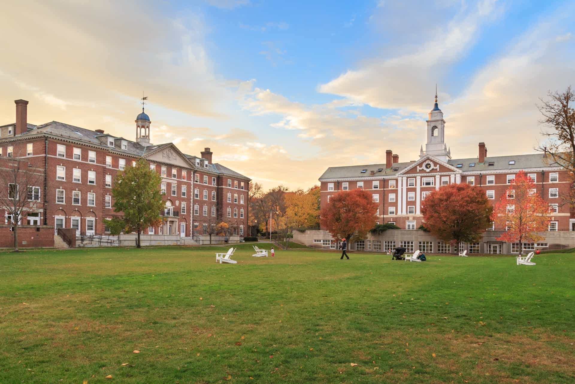 harvard que faire boston