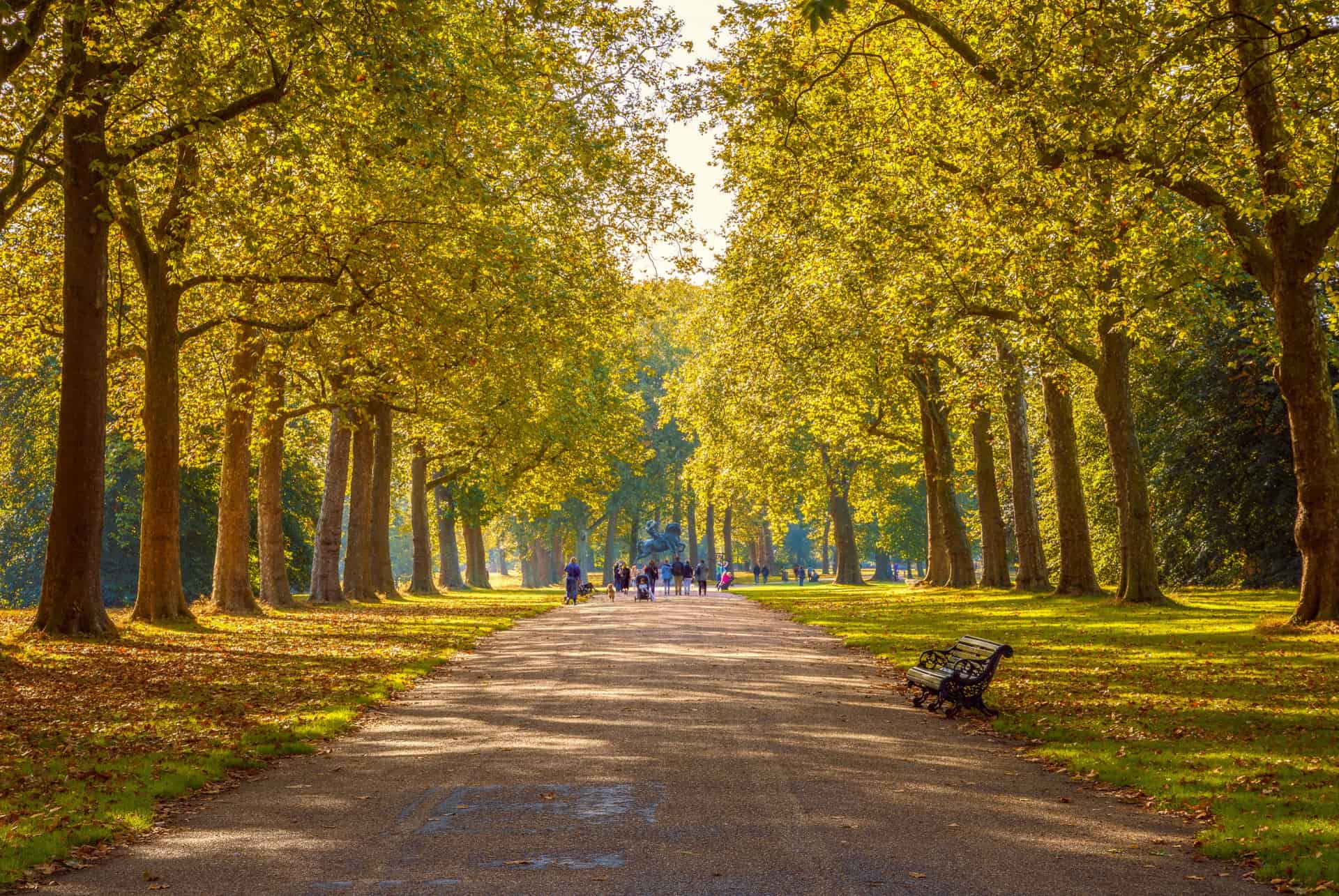 hyde park londres