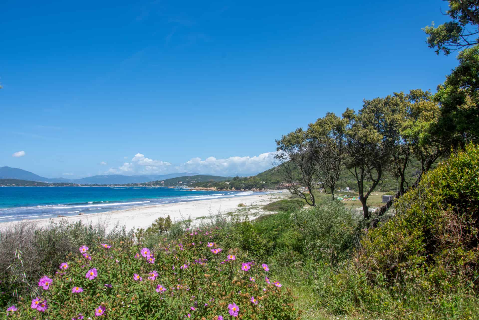 plage corse