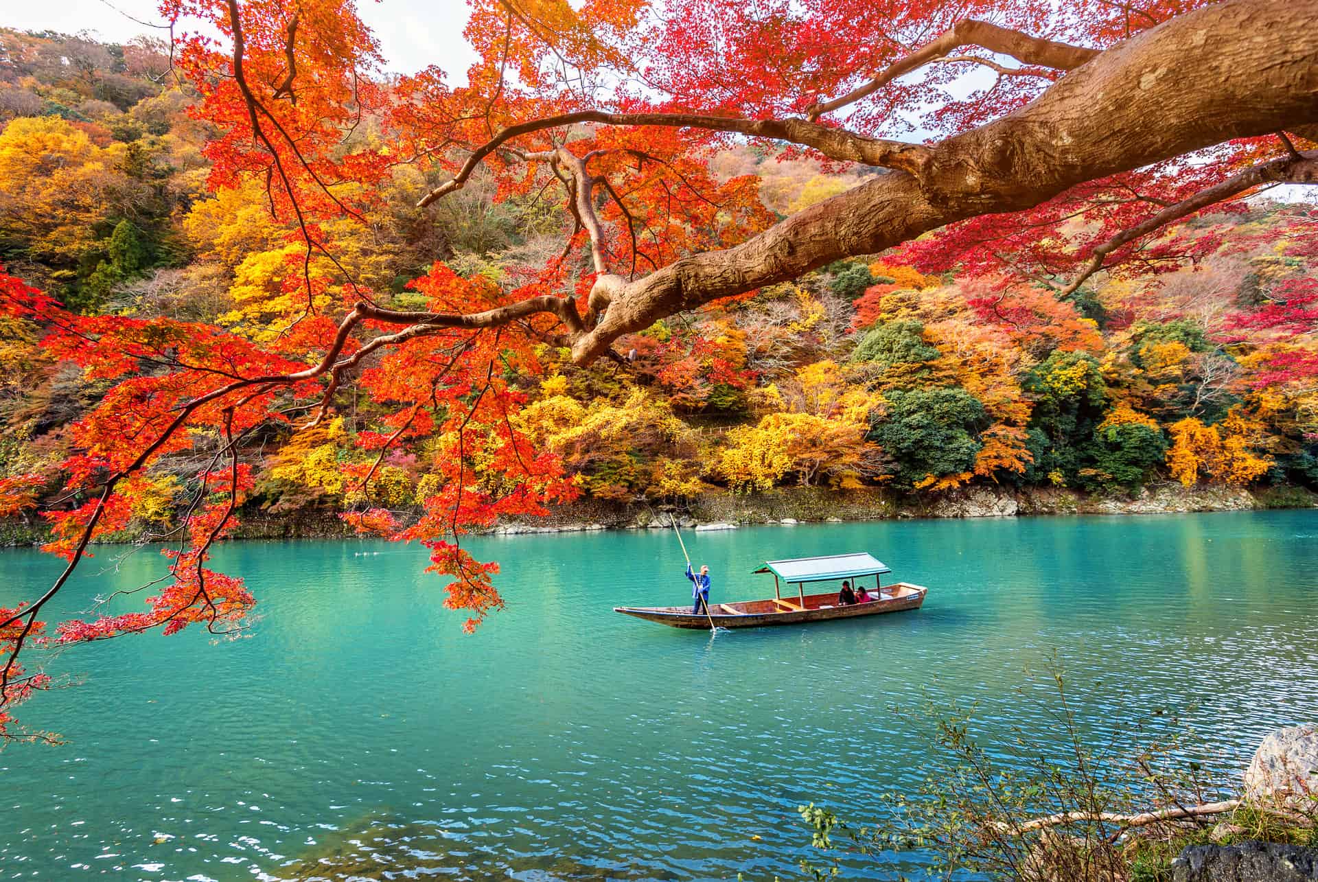 quand partir a kyoto