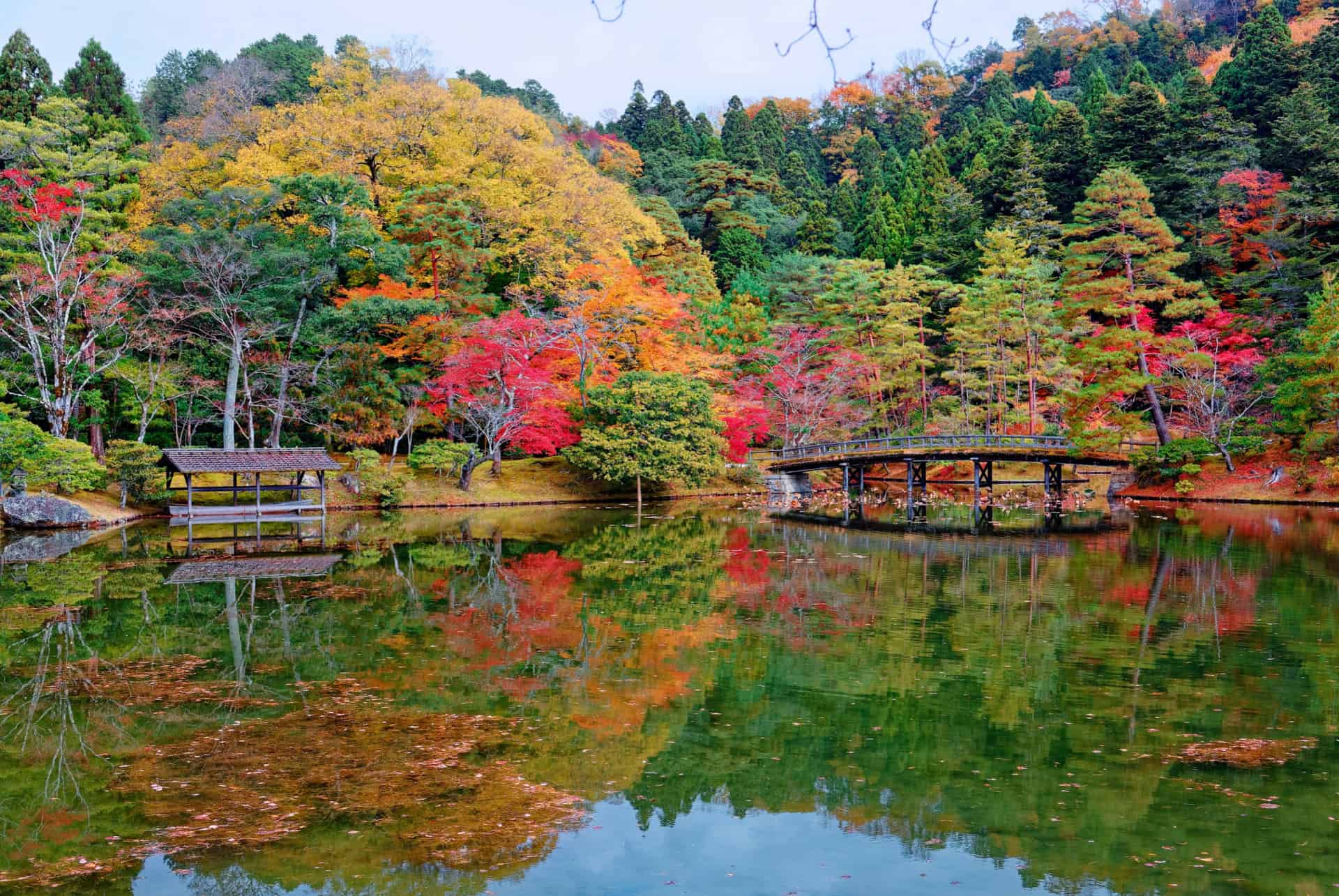 villa imperiale shugaku in