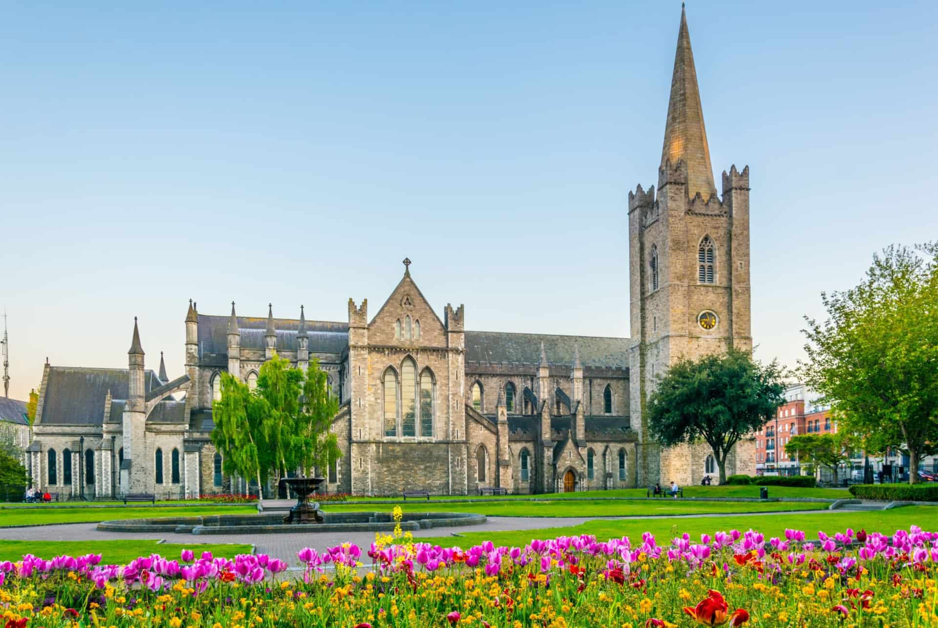 cathedrale saint patrick dublin