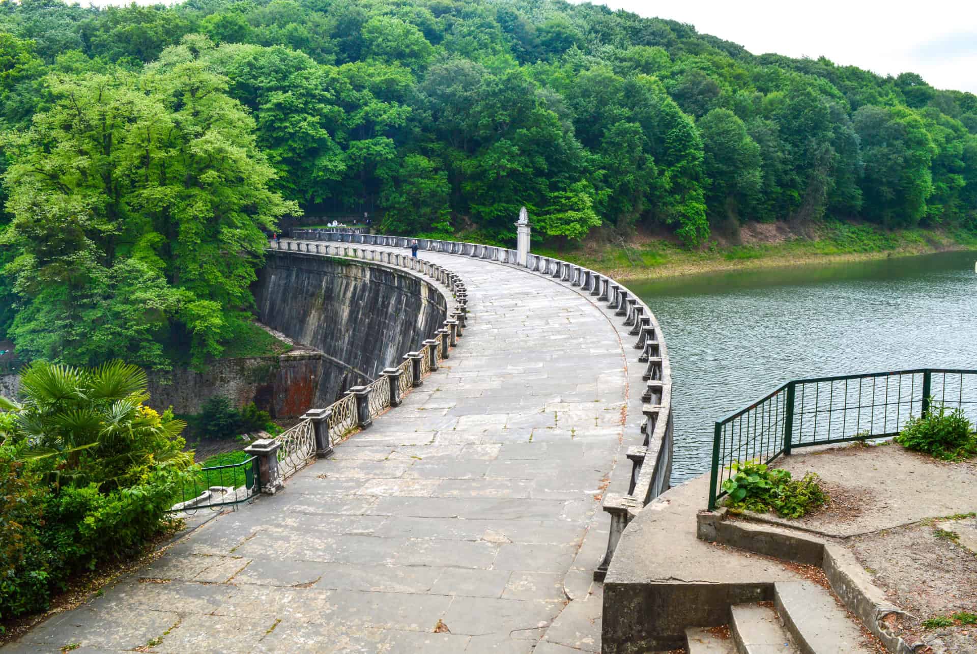 foret de belgrade