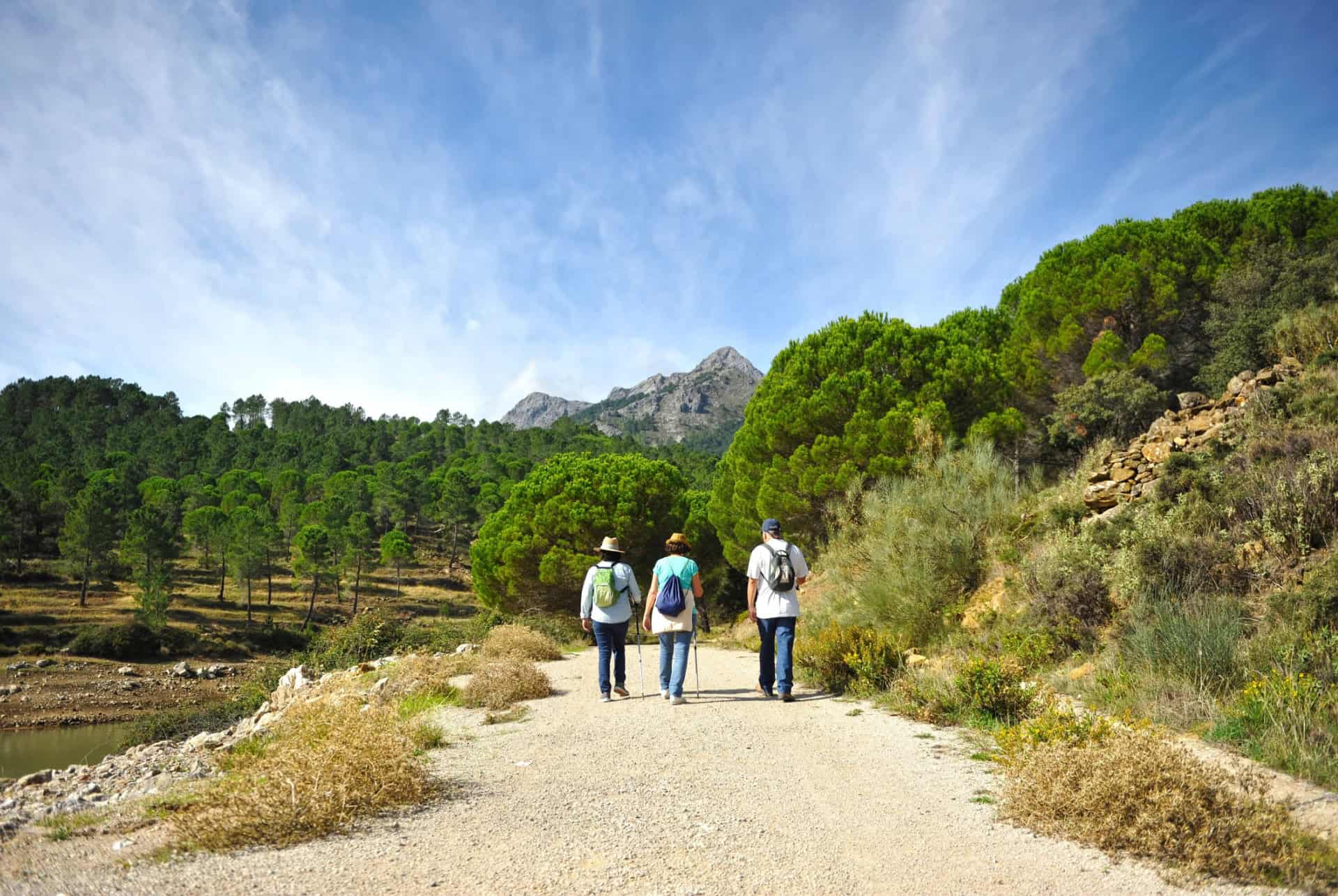 parc naturel sierra de grazalema