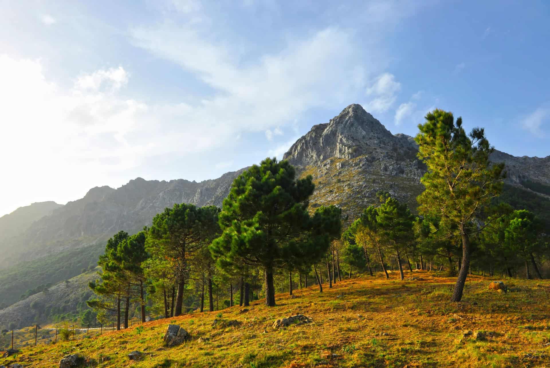 parc sierra de grazalema