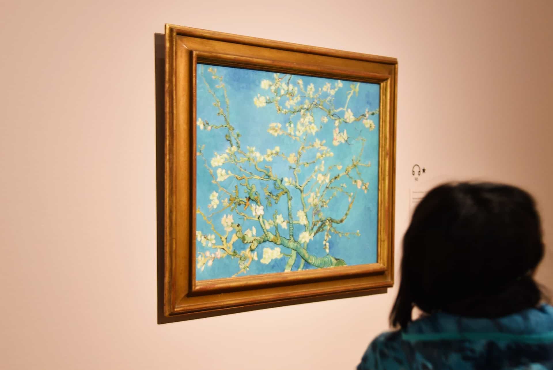 amsterdam musee van gogh