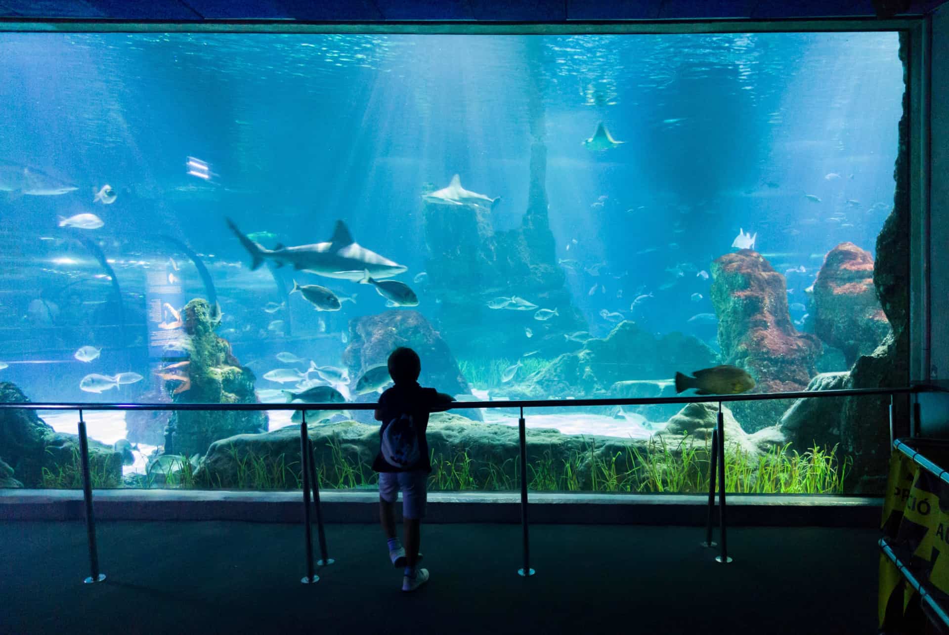 aquarium de barcelone