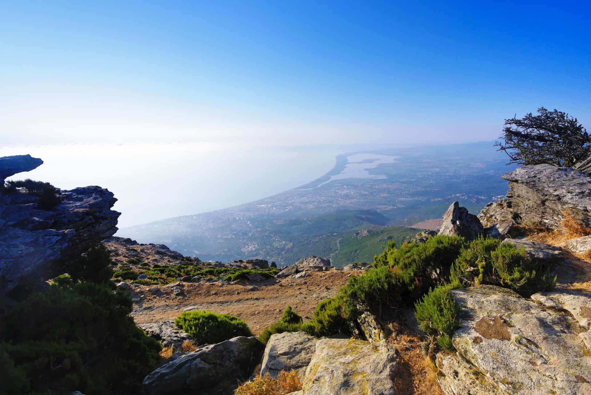 etang chiurlinu biguglia corse