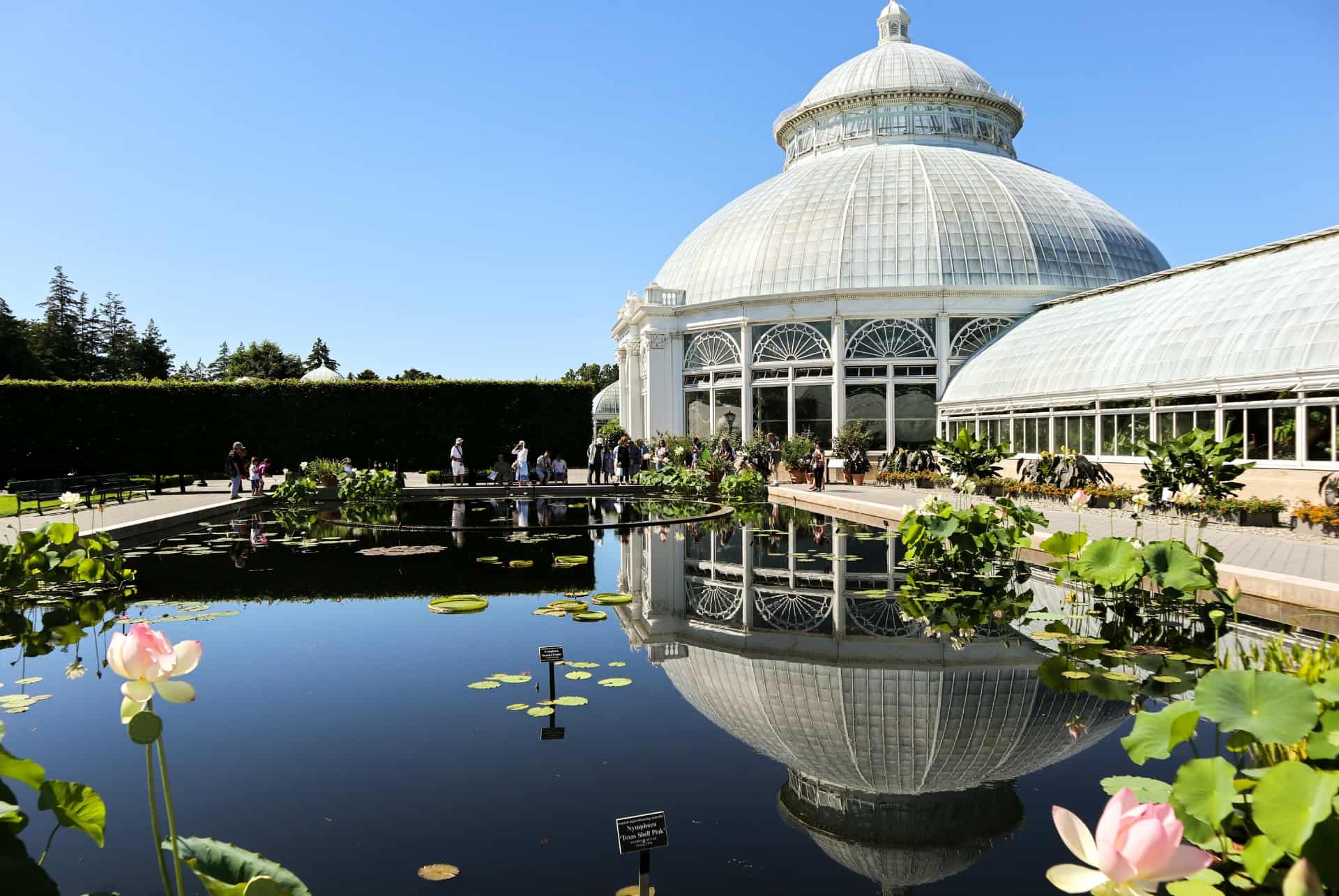 jardin botanique bronx