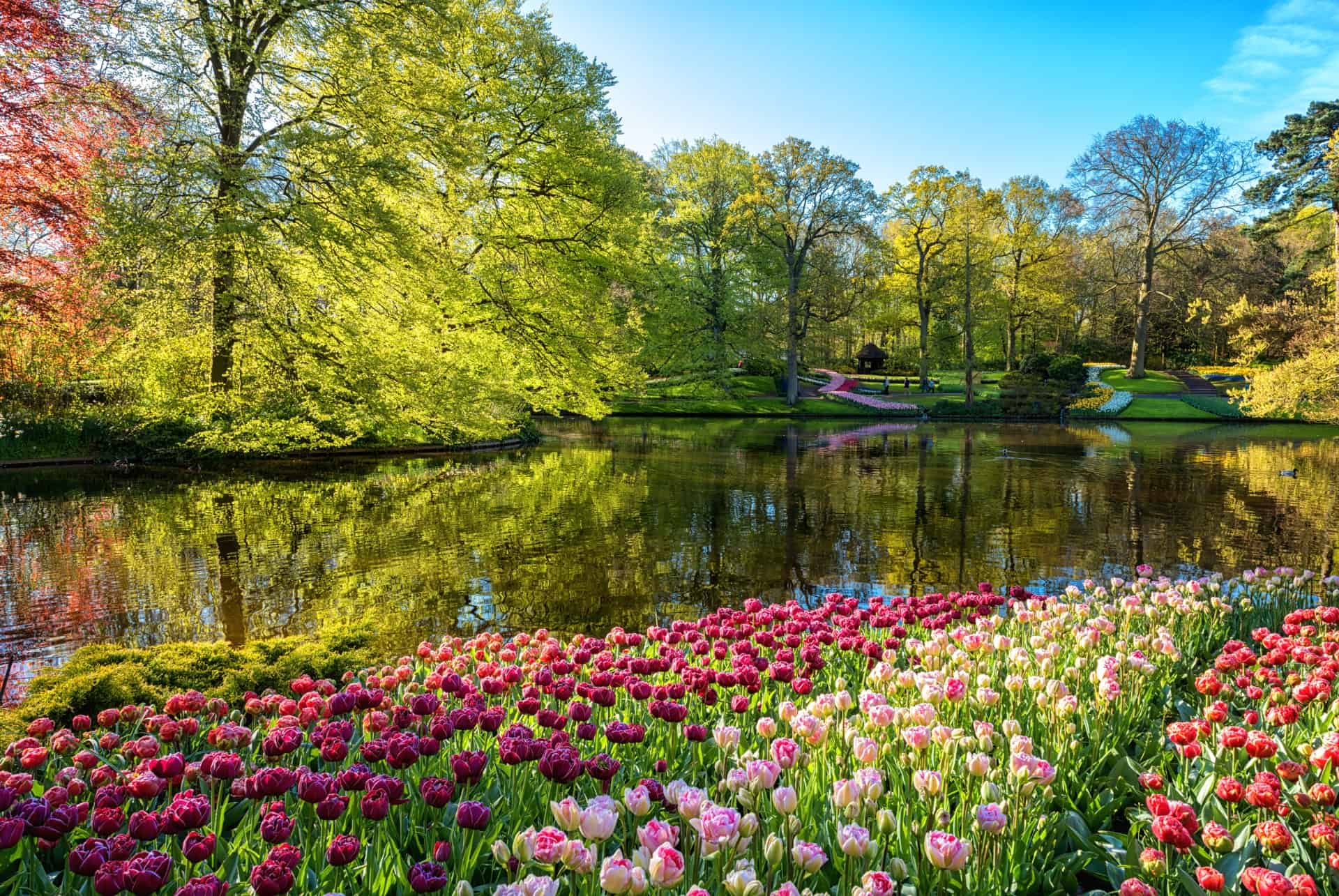 jardins de keukenhof amsterdam