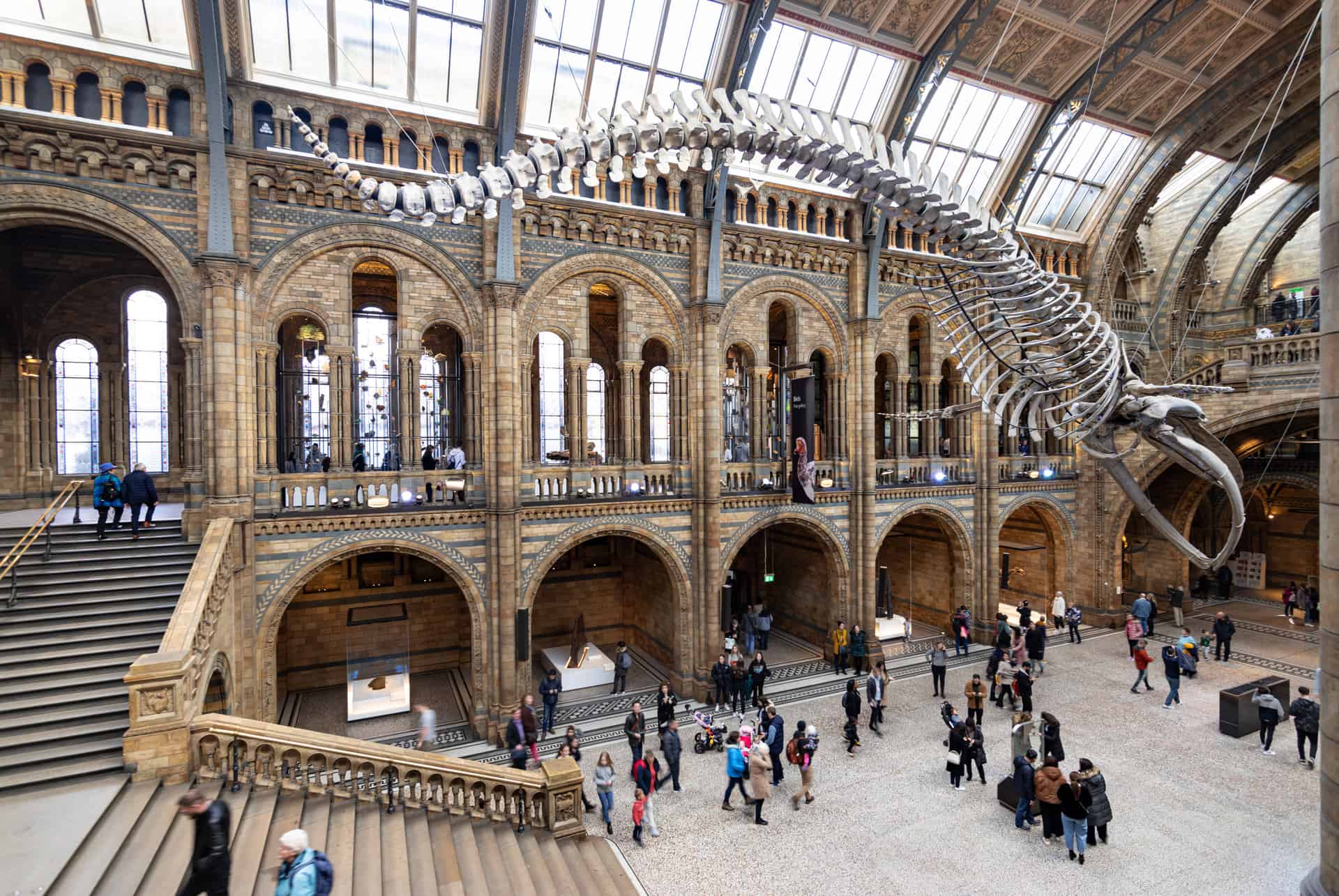 londres en avril musee histoire naturelle