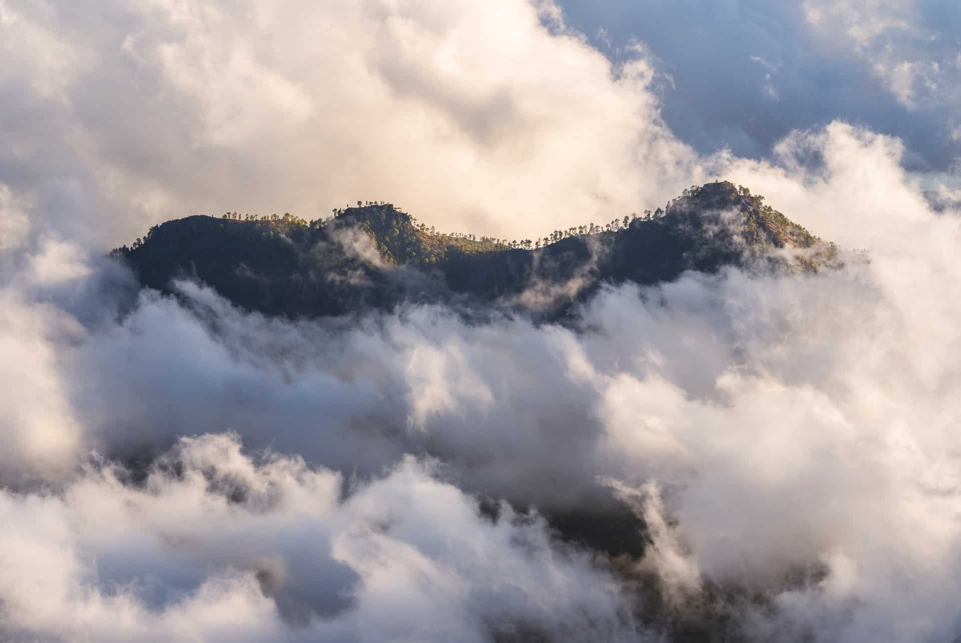 pico de las nieves