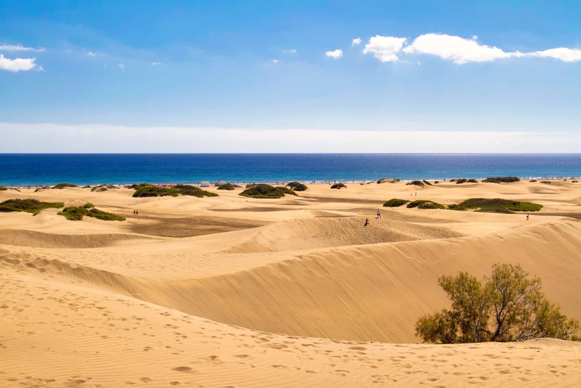 que faire a gran canaria dunes maspalomas