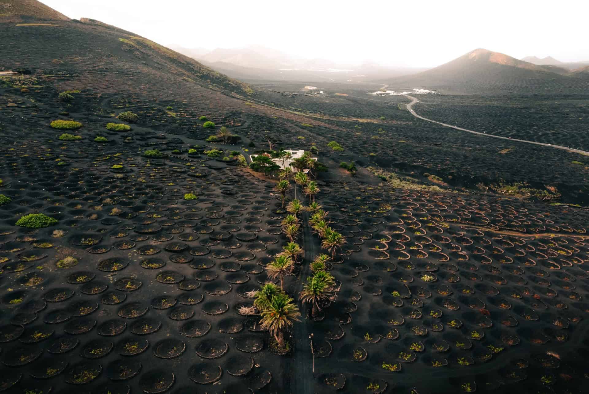 route des vins lanzarote