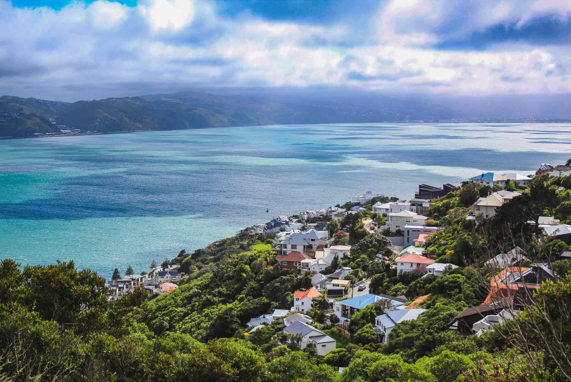 vue depuis le mont victoria wellington nouvelle zelande