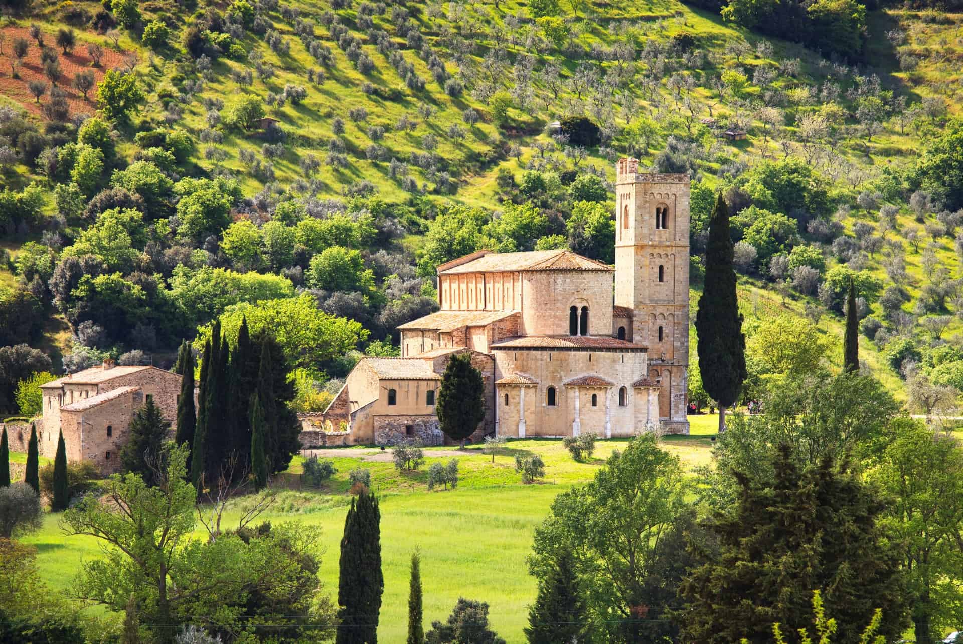 montalcino road trip toscane