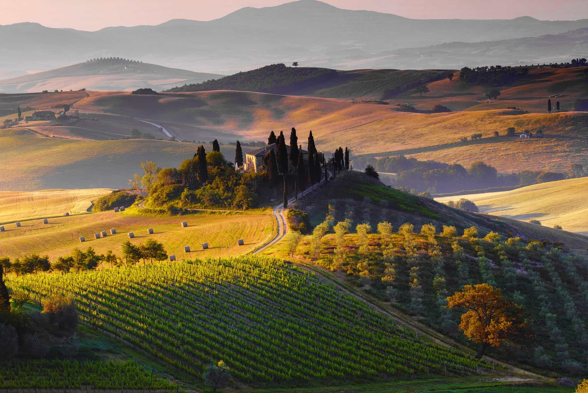 vignobles en italie