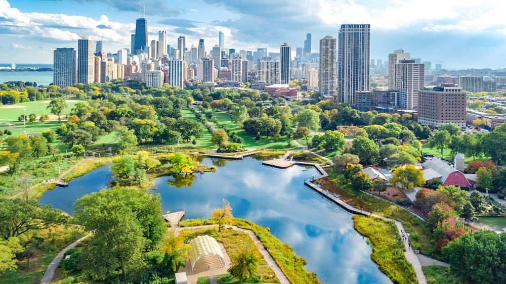 chicago activite