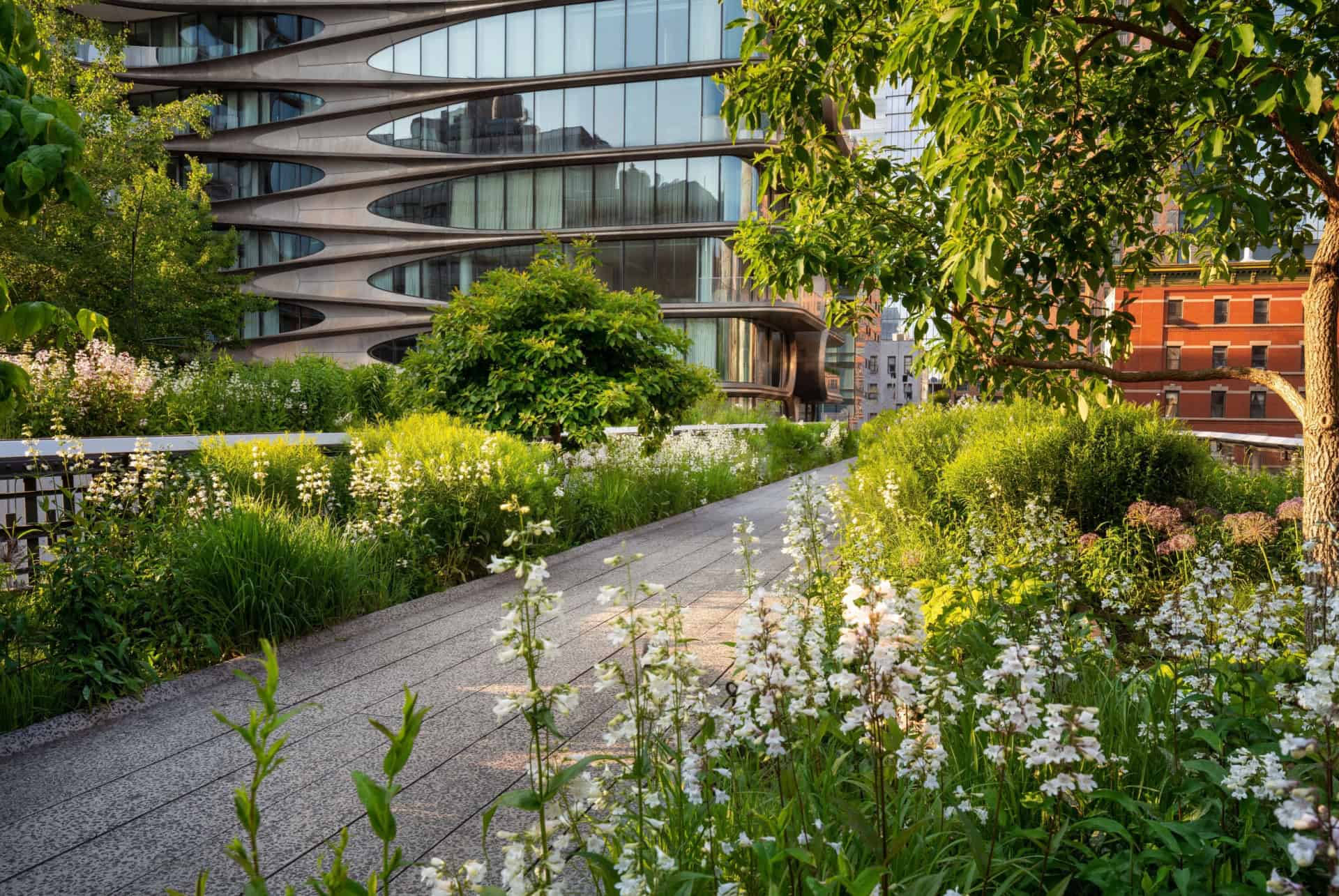 highline new york juin