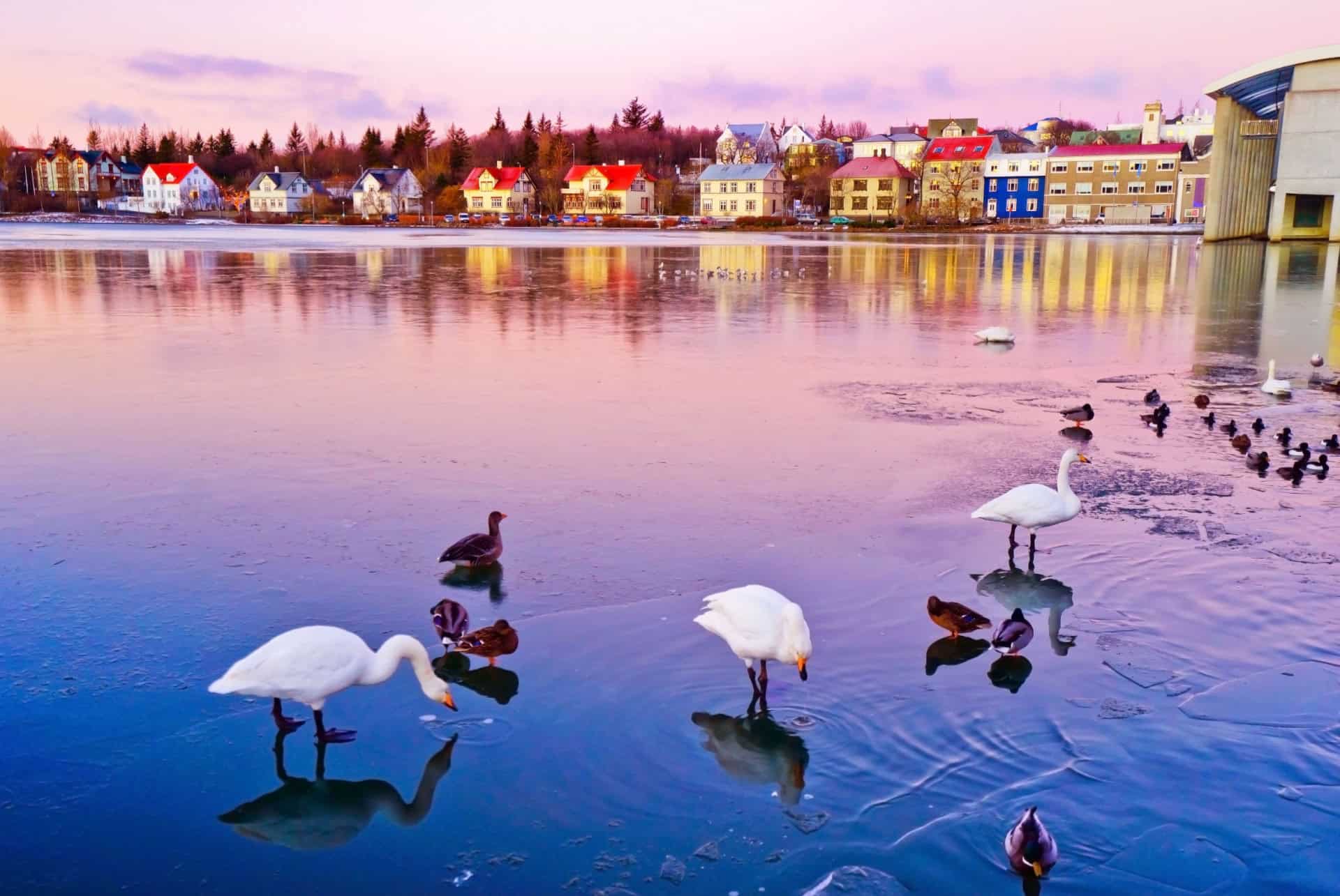 lac tjornin a reykjavik