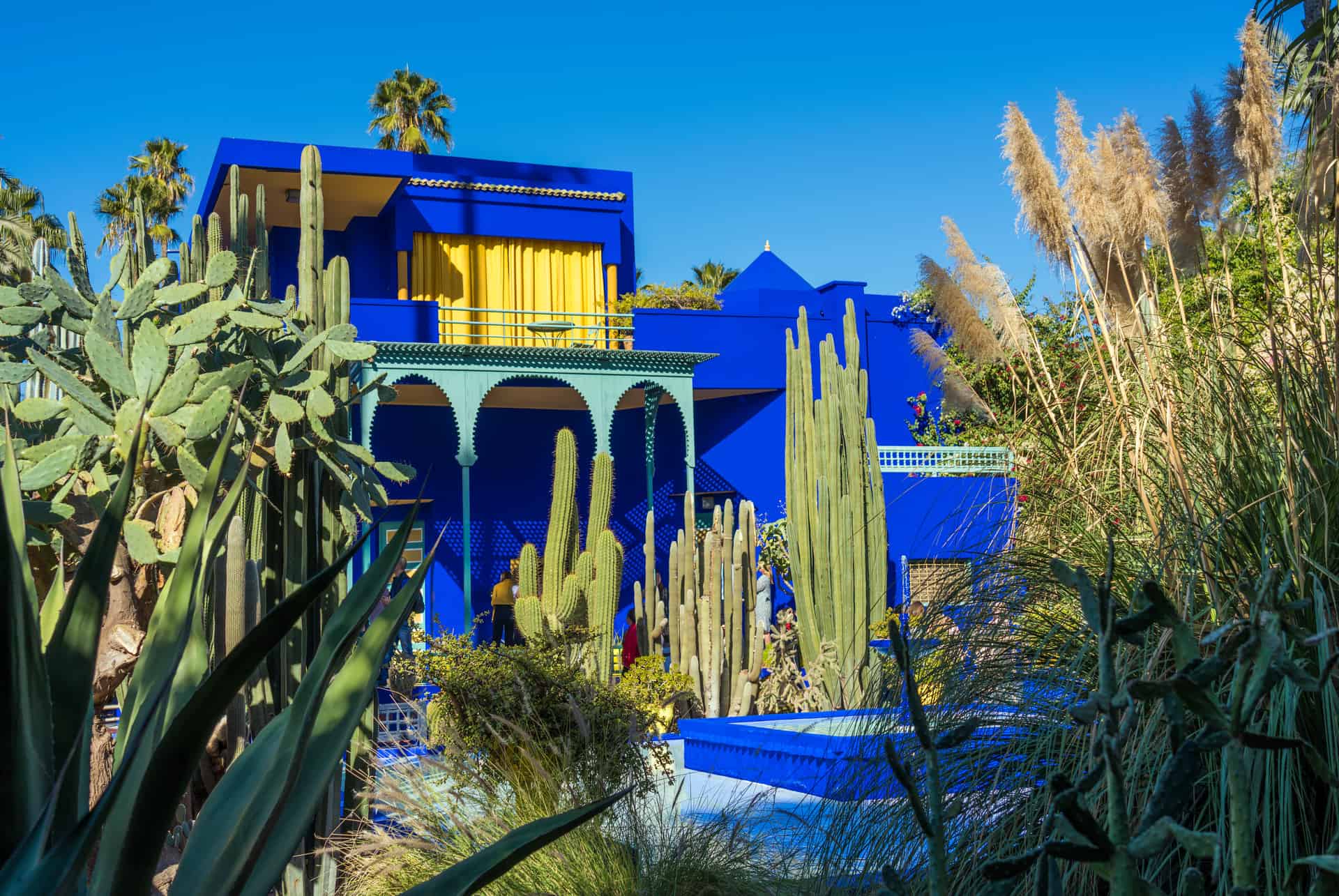 marrakech en avril jardin majorelle