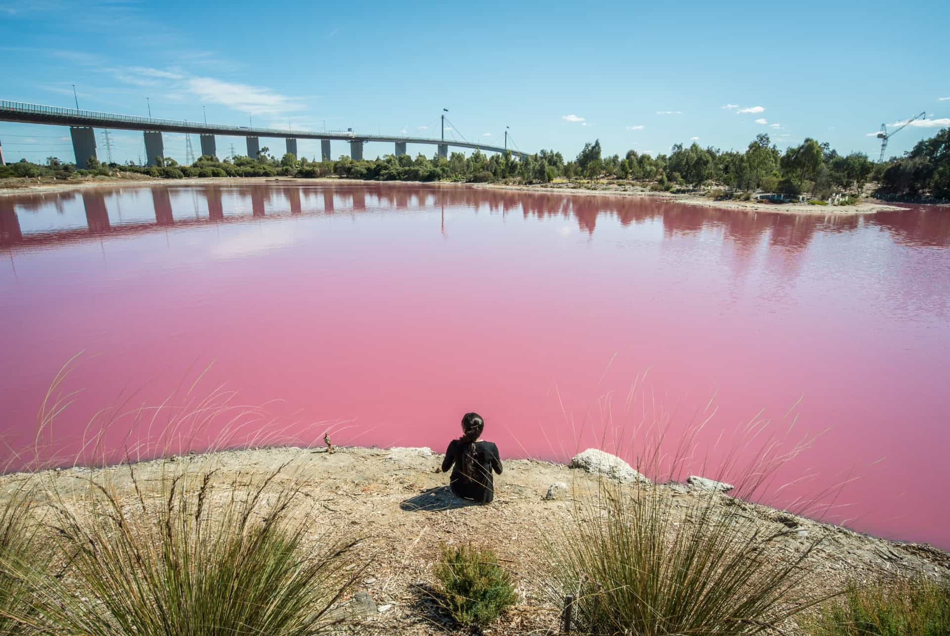 pink lake