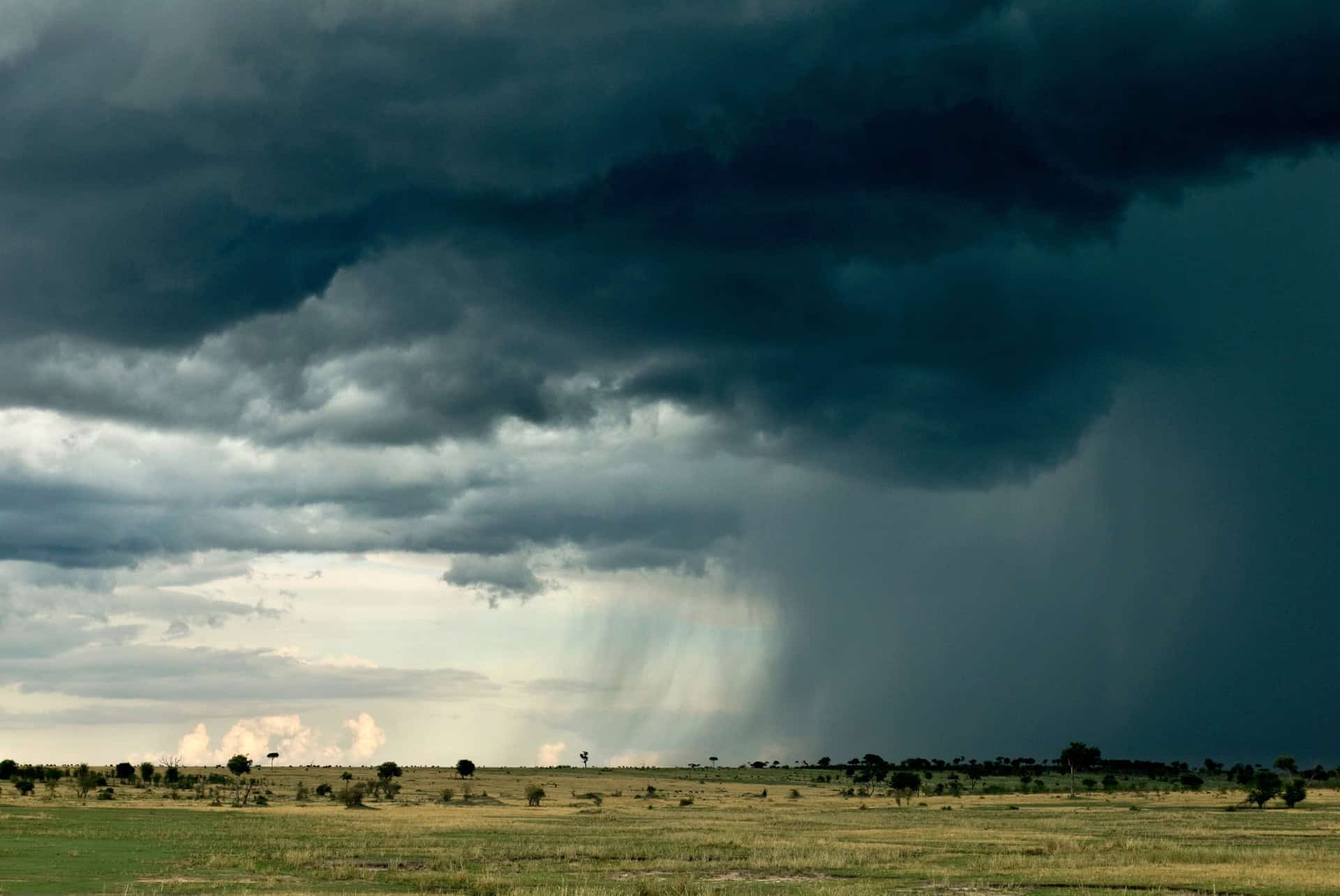 pluie en tanzanie