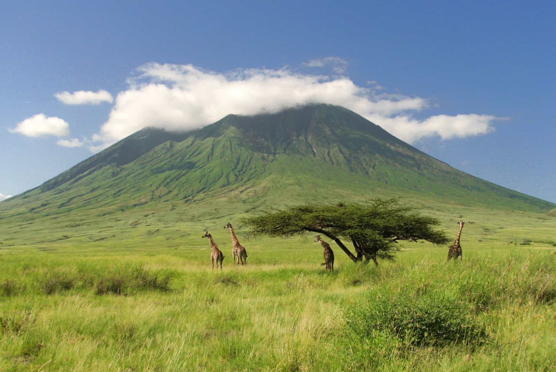 quand partir en tanzanie serengeti