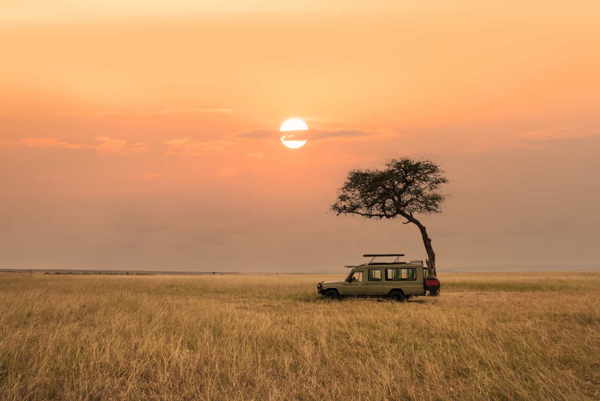 safari parc serengeti