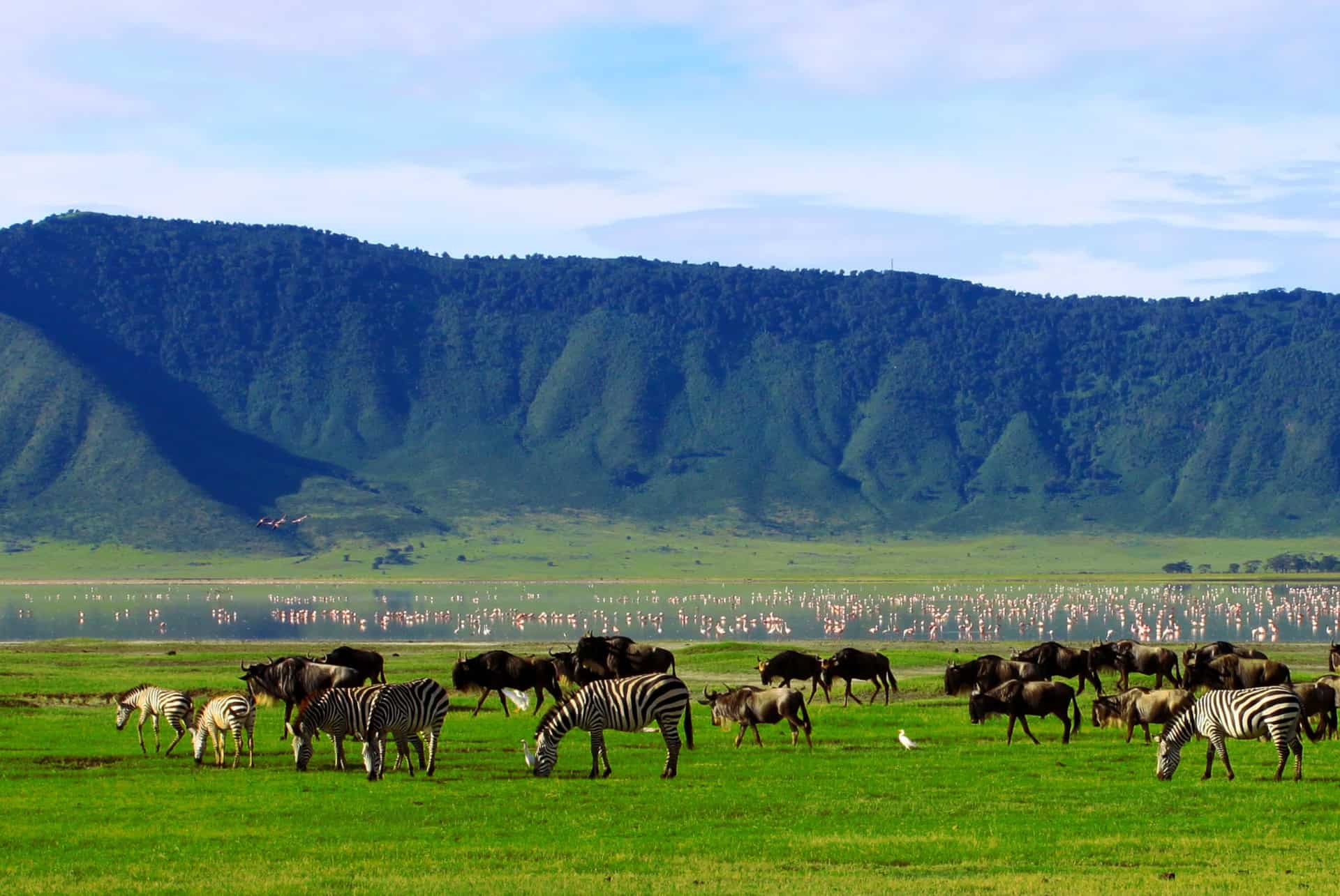 saison des pluies tanzanie