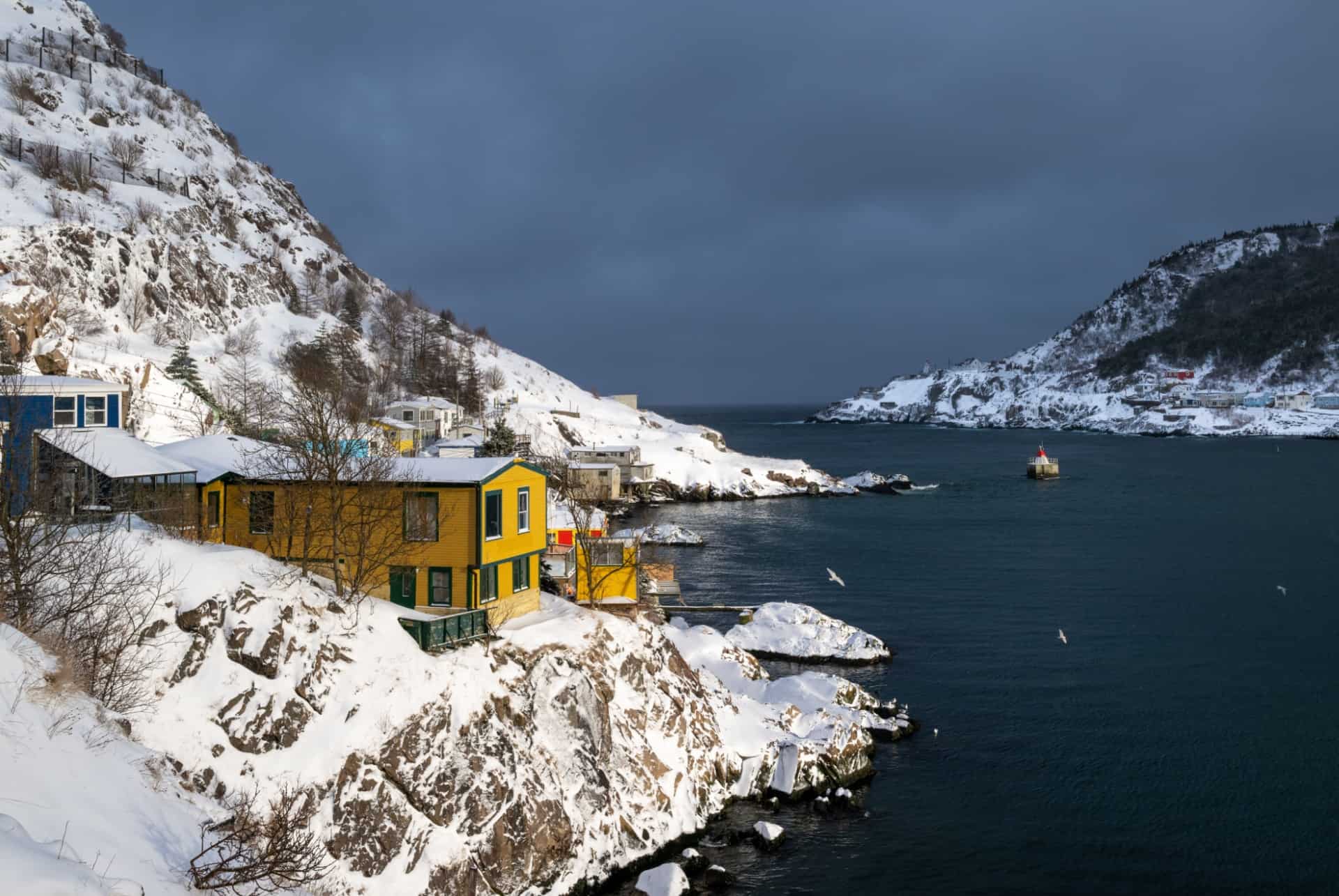 terre neuve fjords