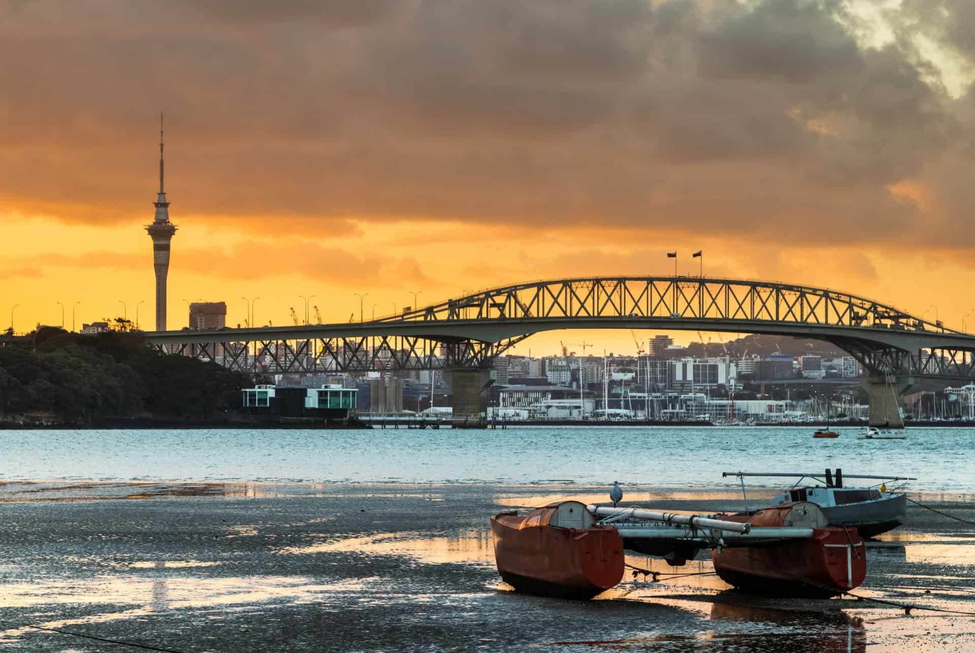 harbour bridge que faire auckland