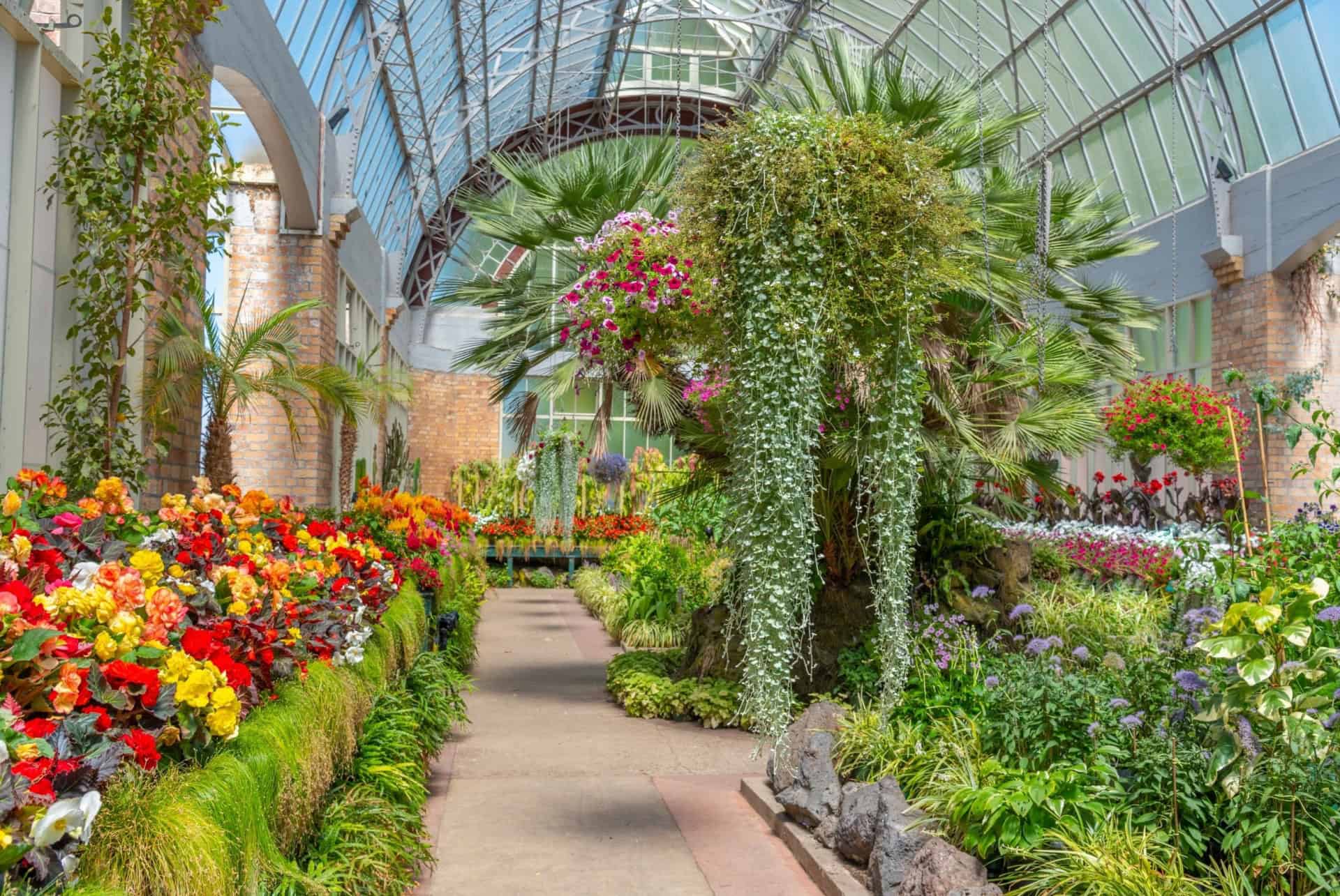 jardins hiver que faire auckland