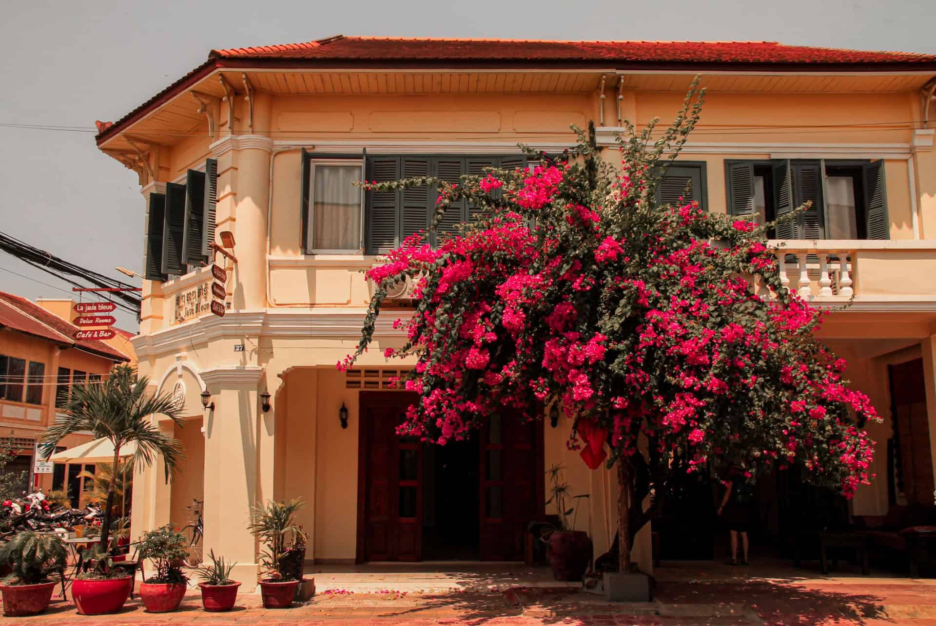 kampot