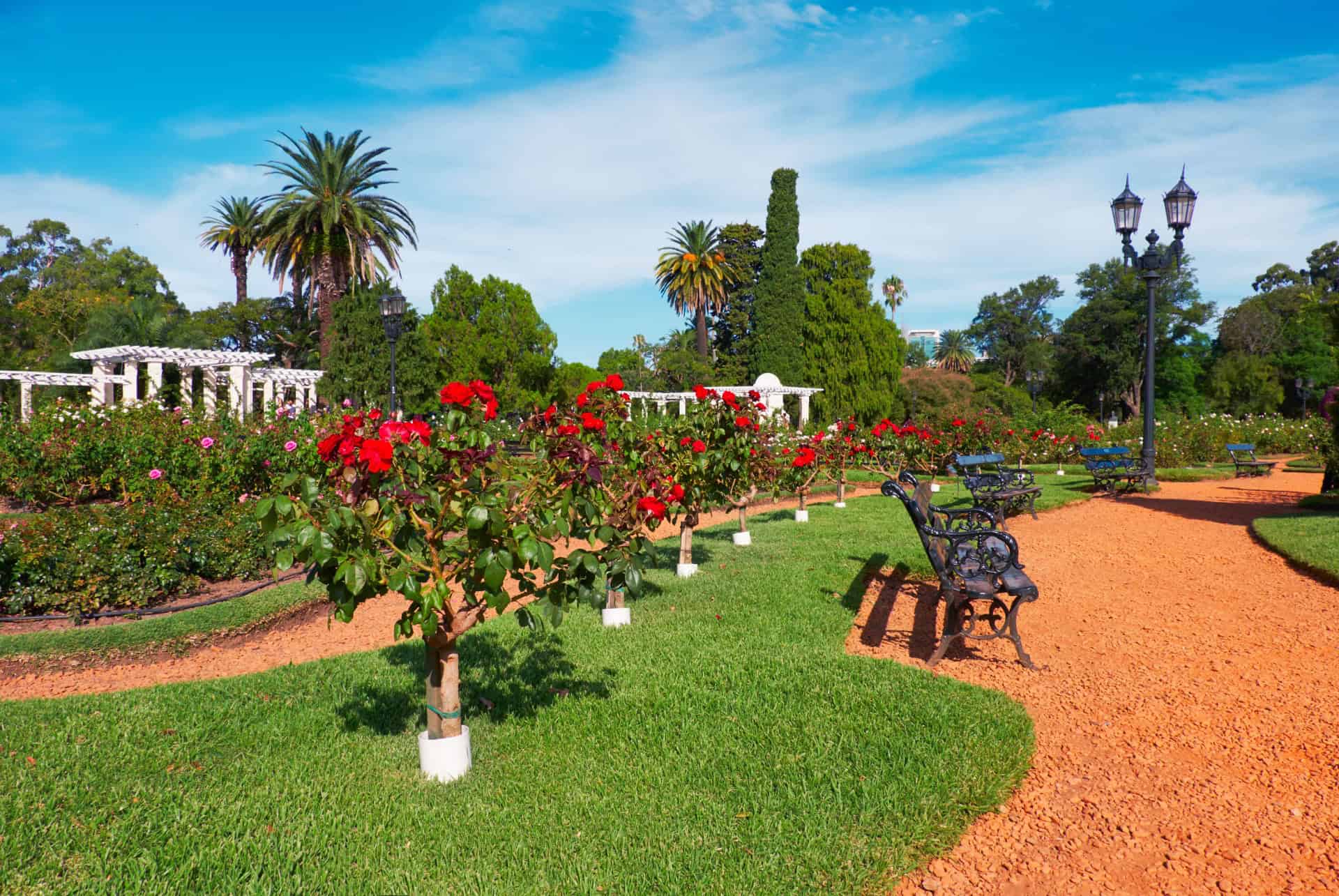 parque tres de febrero