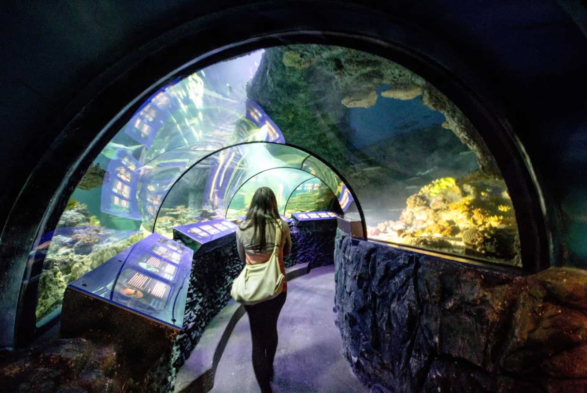 sea life munich