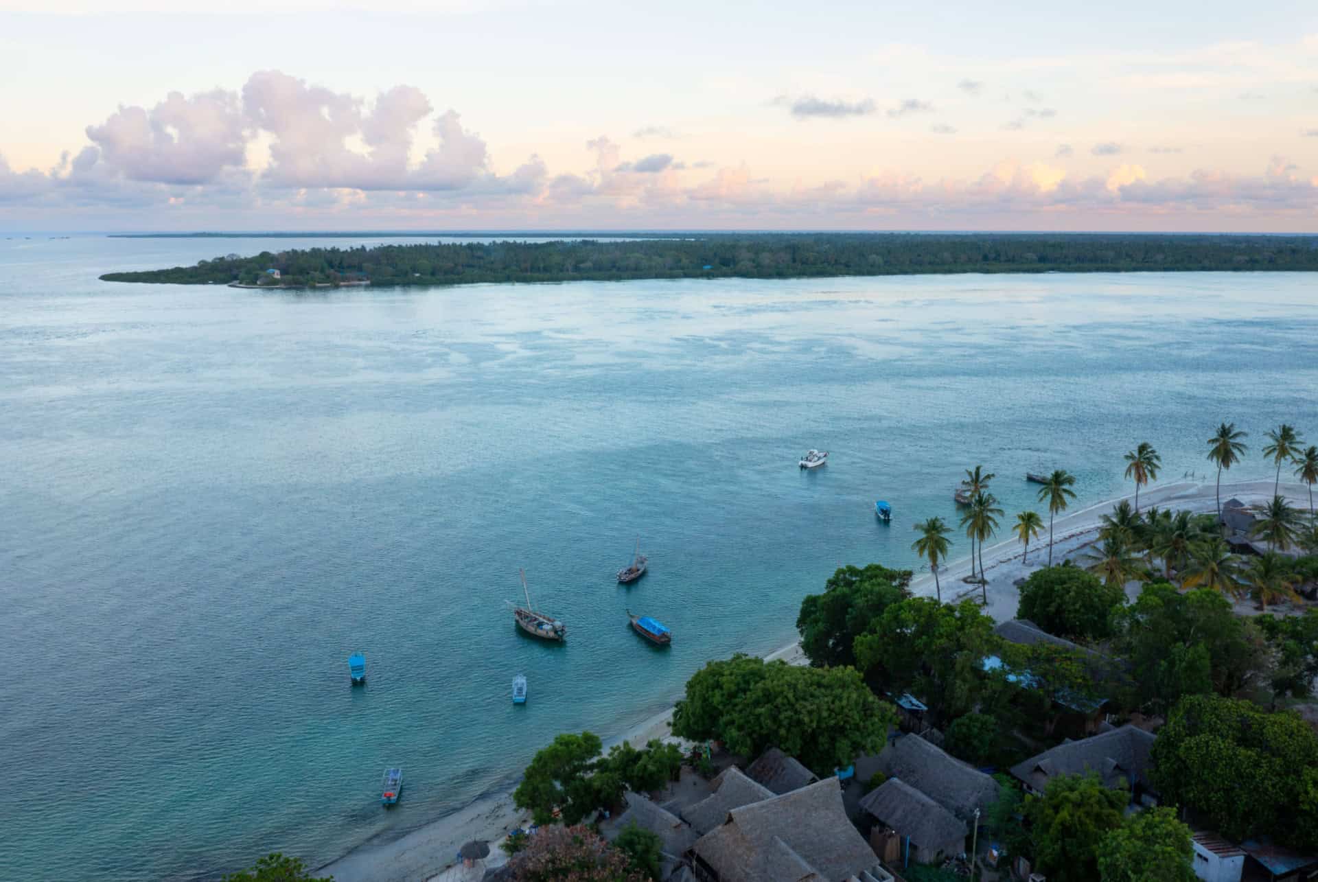 ile de mafia que faire a zanzibar