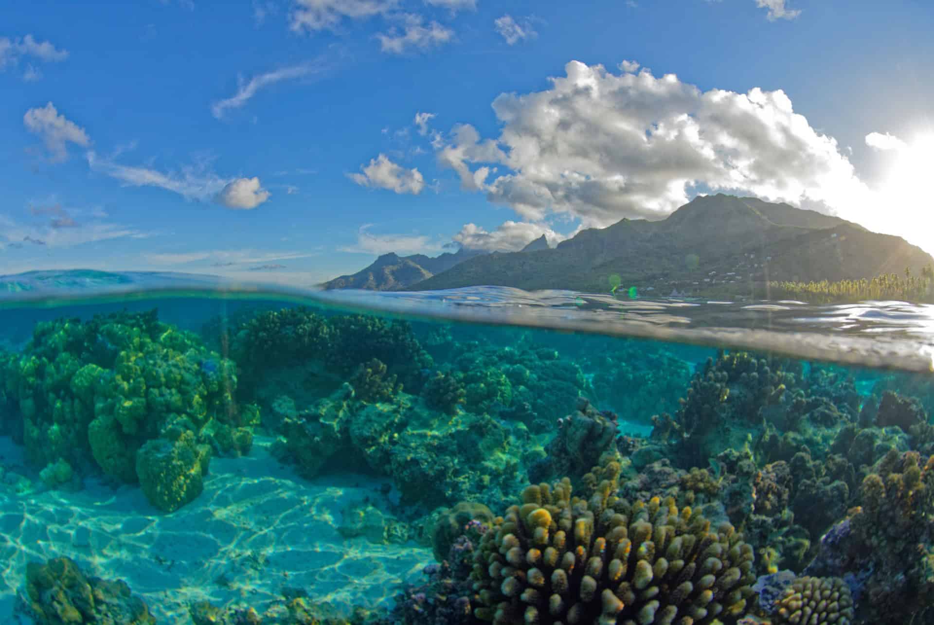’île de Moorea