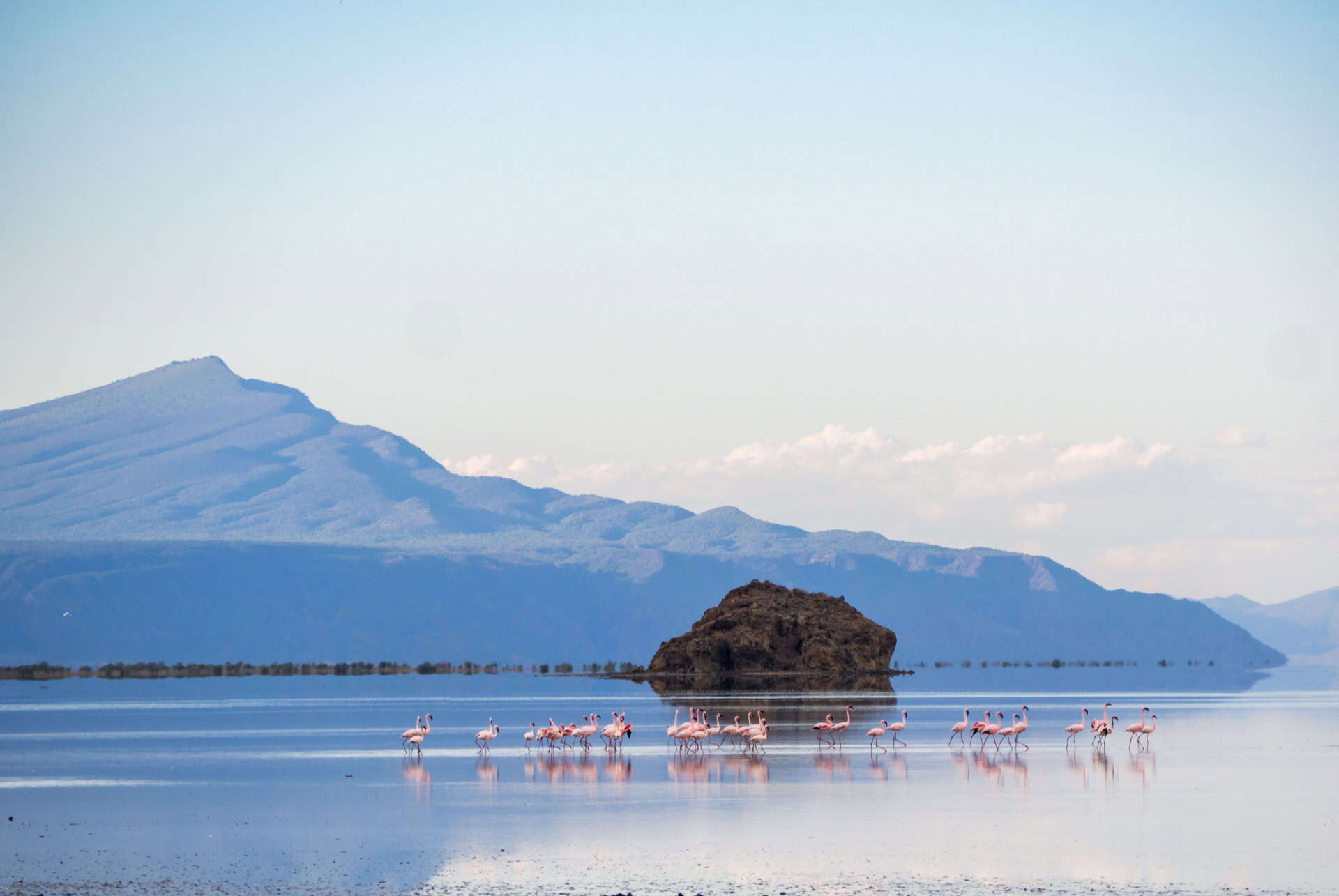 lac natron