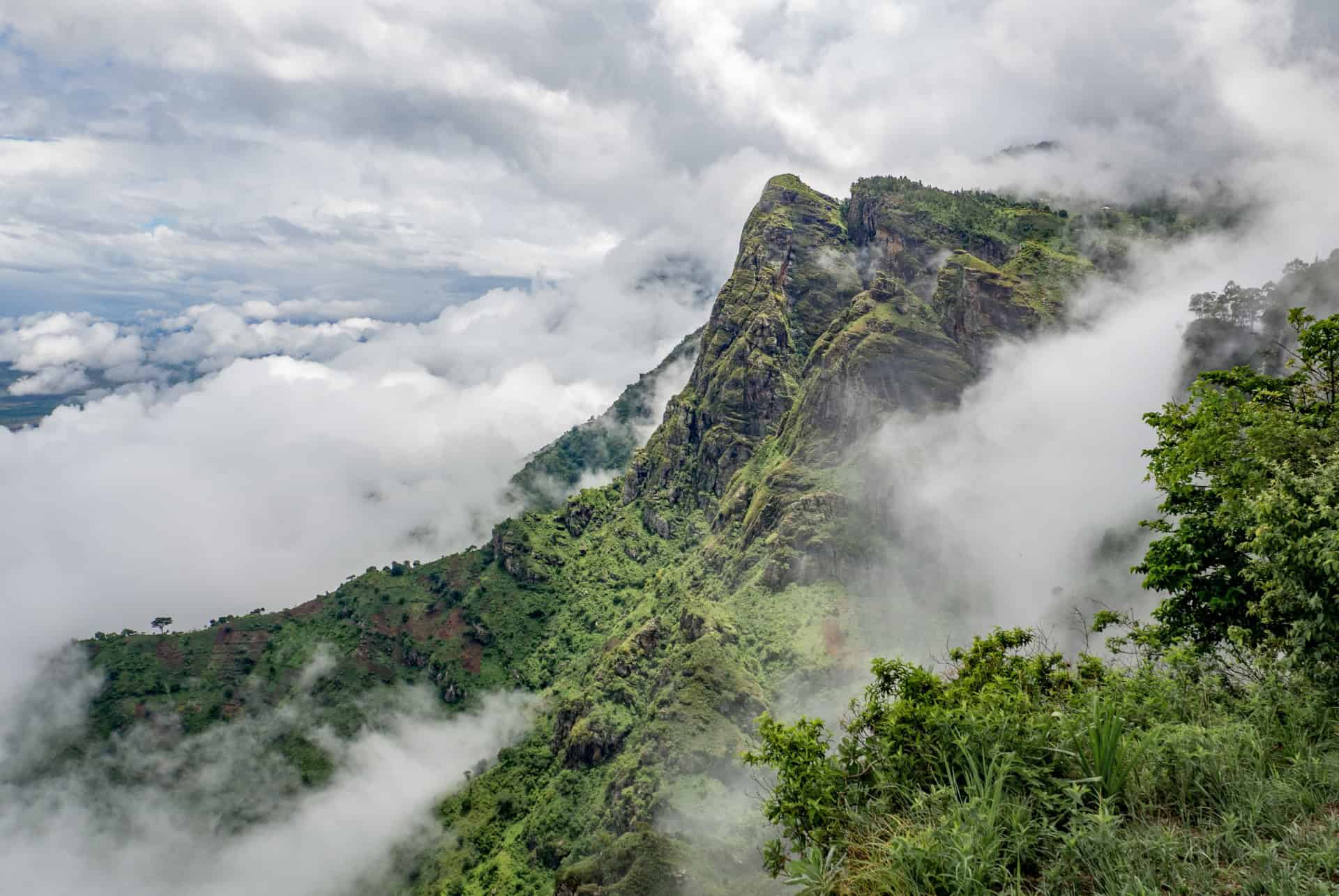 monts usambara que faire en tanzanie