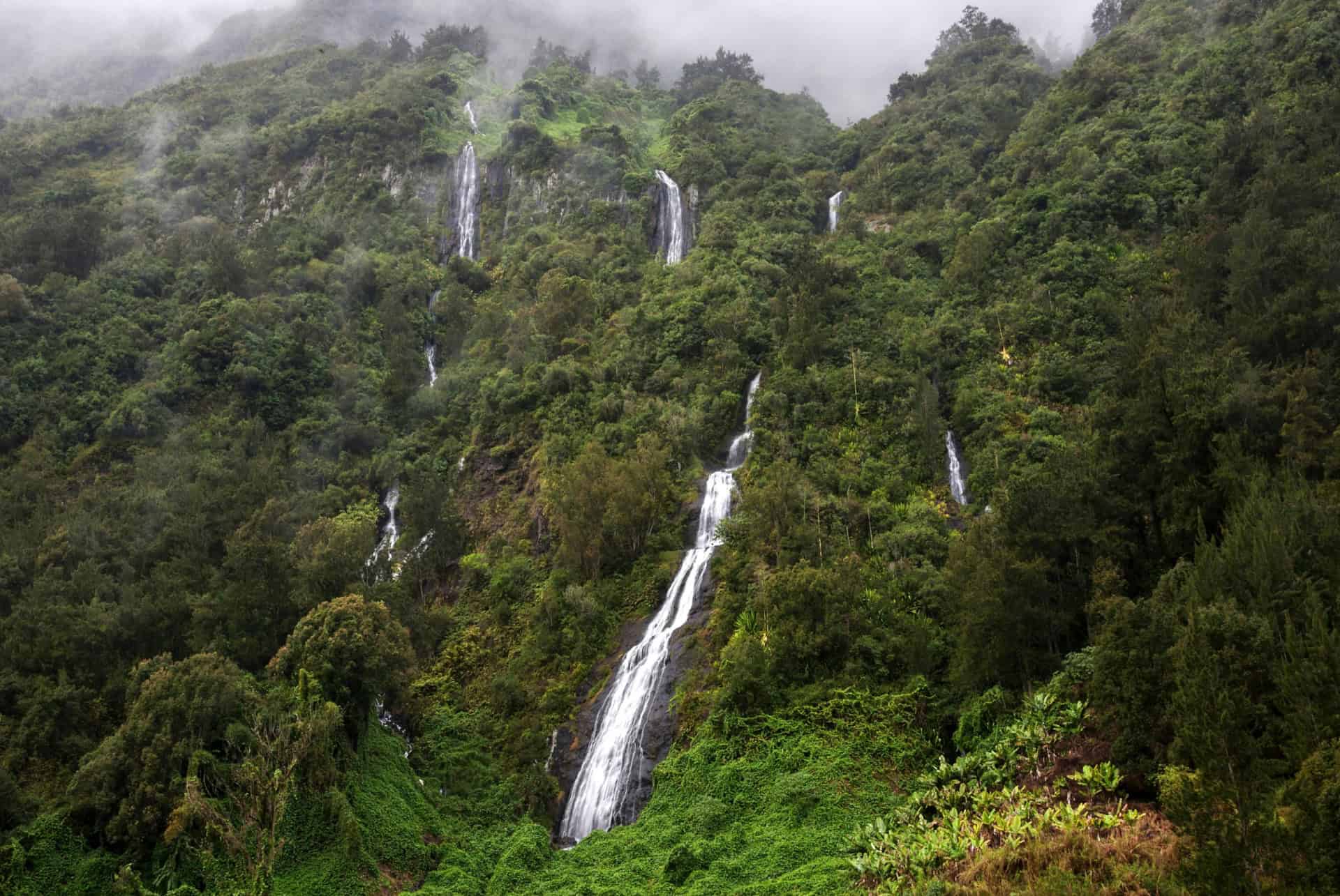 cascade le voile de la mariée