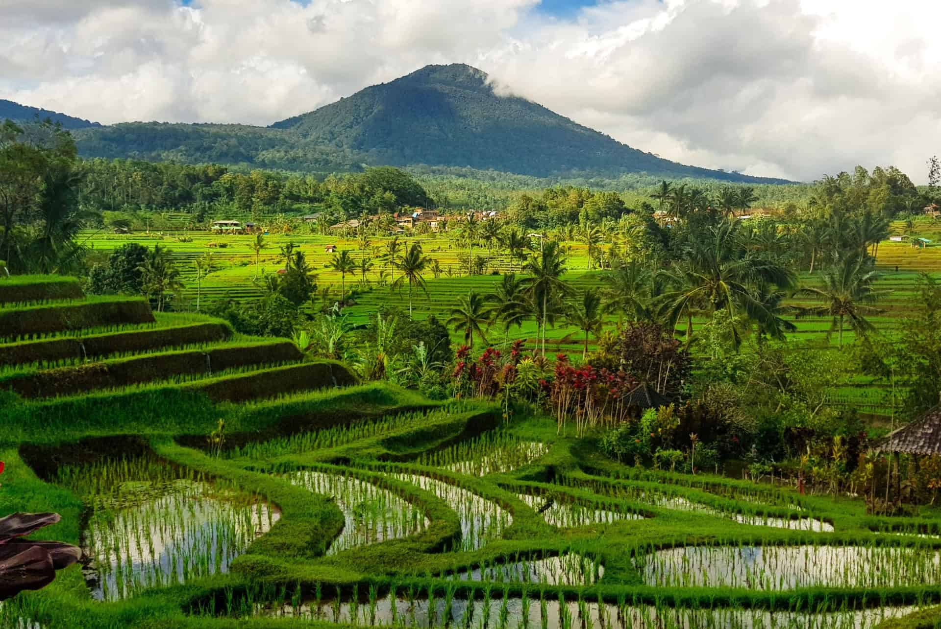 climat a bali