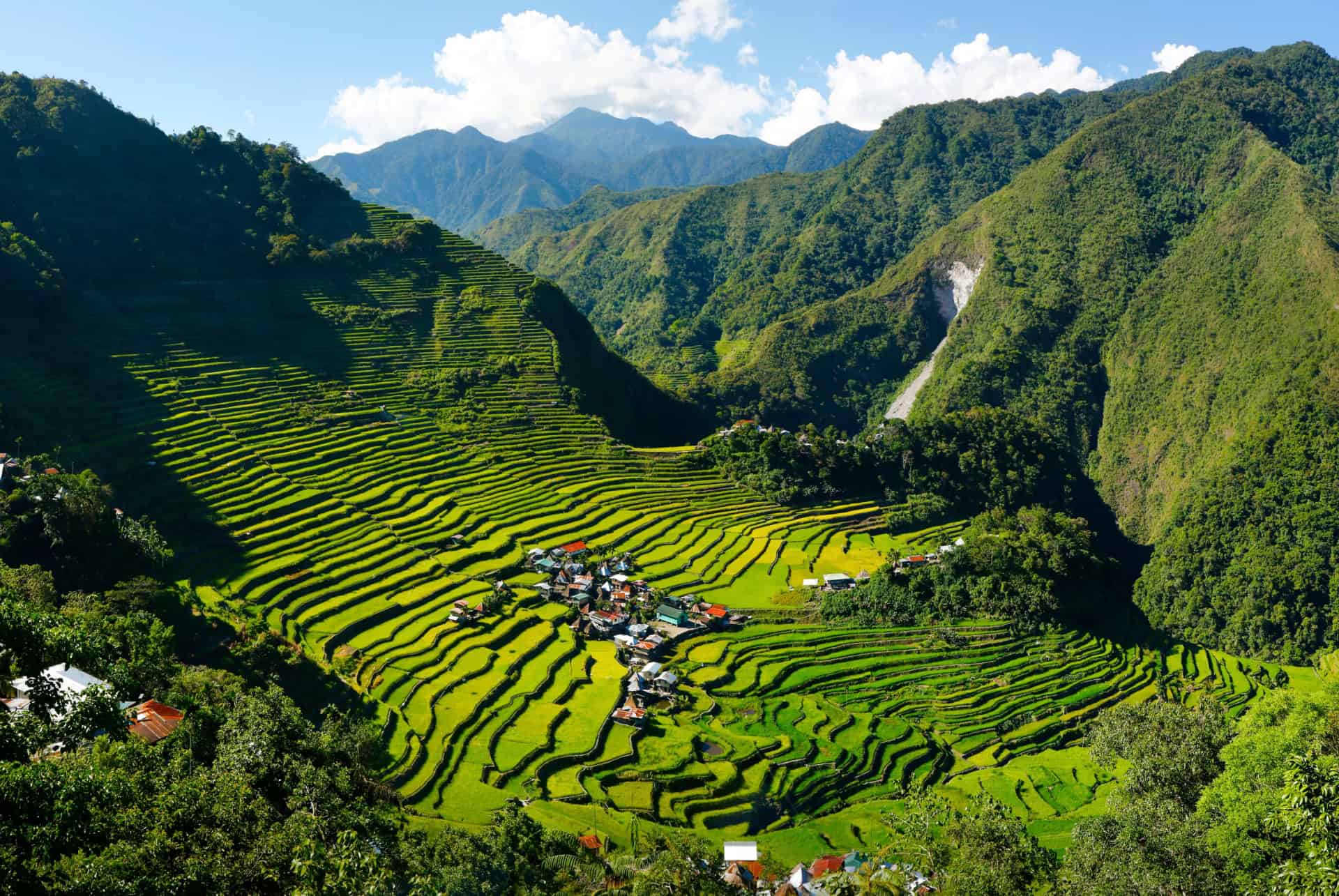 les rizières de banaue