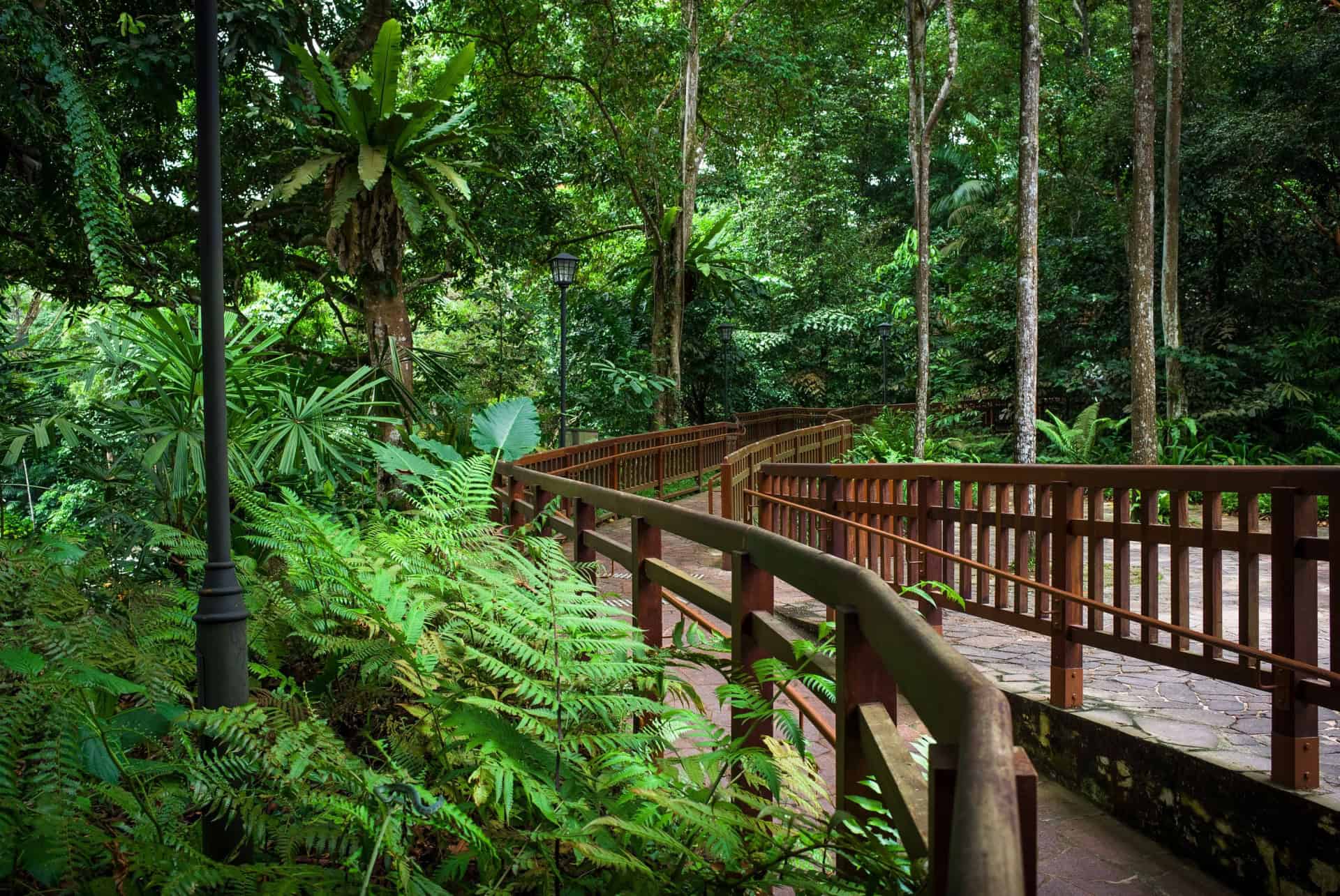 bukit timah