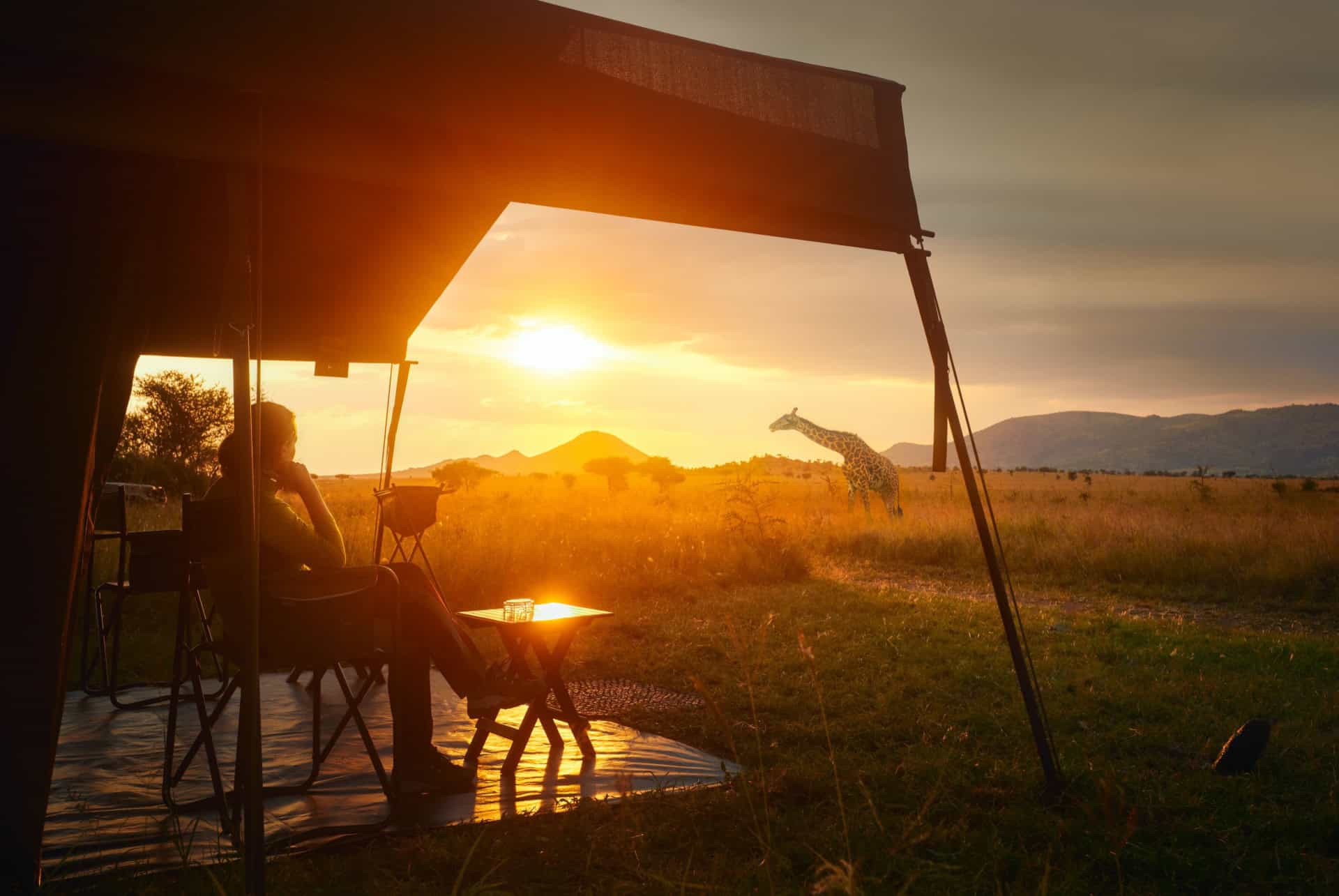 logement pendant un safari