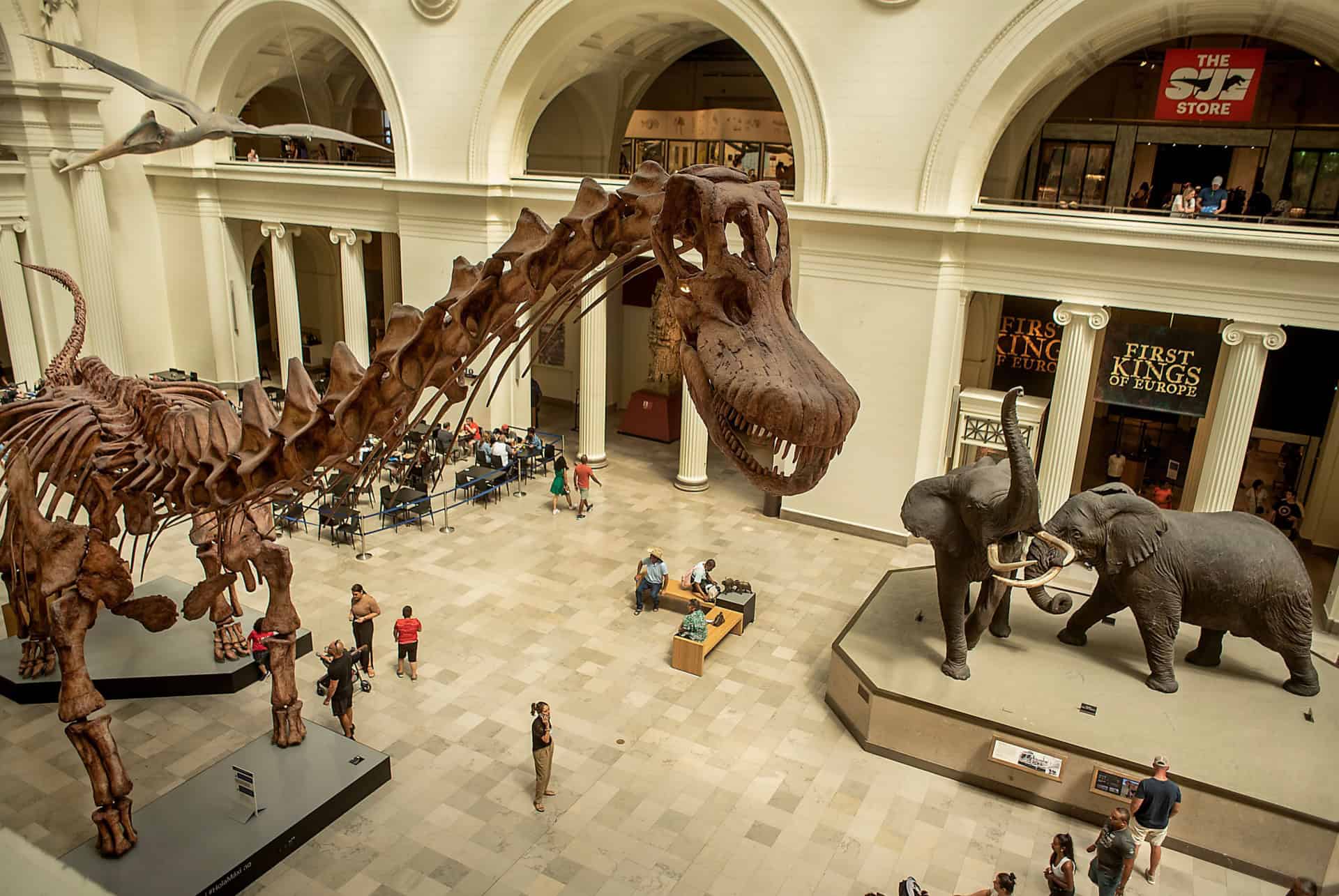 musee field