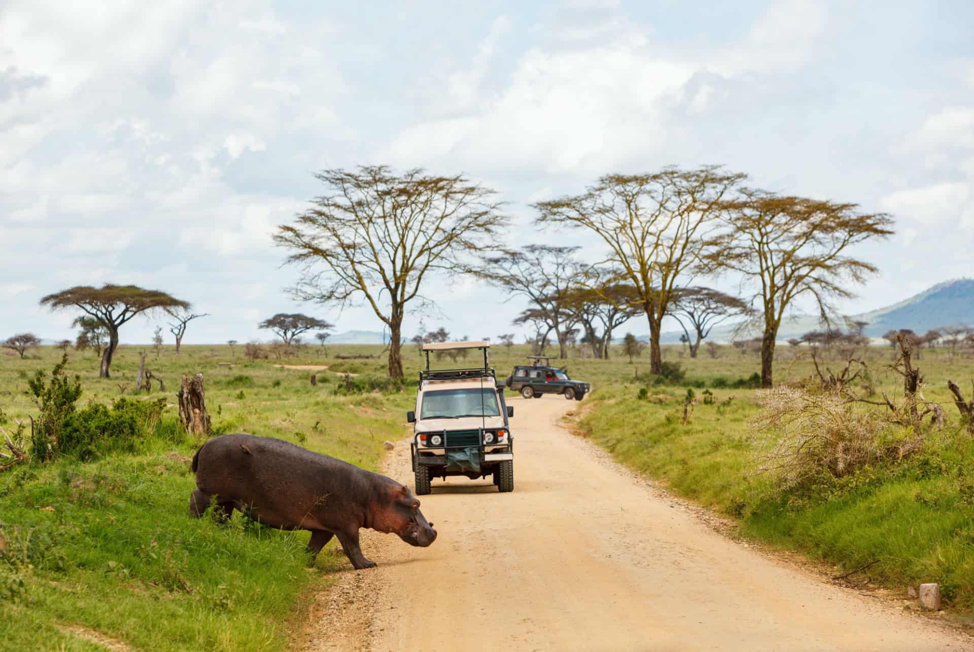safari trois jours
